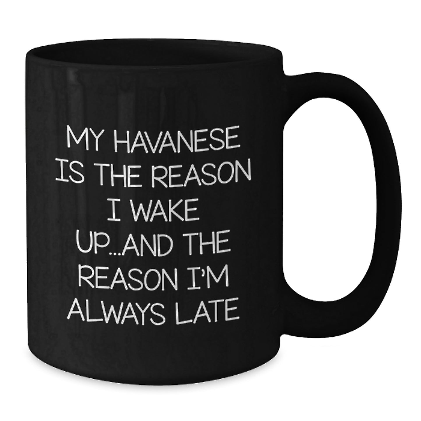 Funny Havanese Dog Lovers Gifts from Friends for Birthday Unique Mugs - Additional