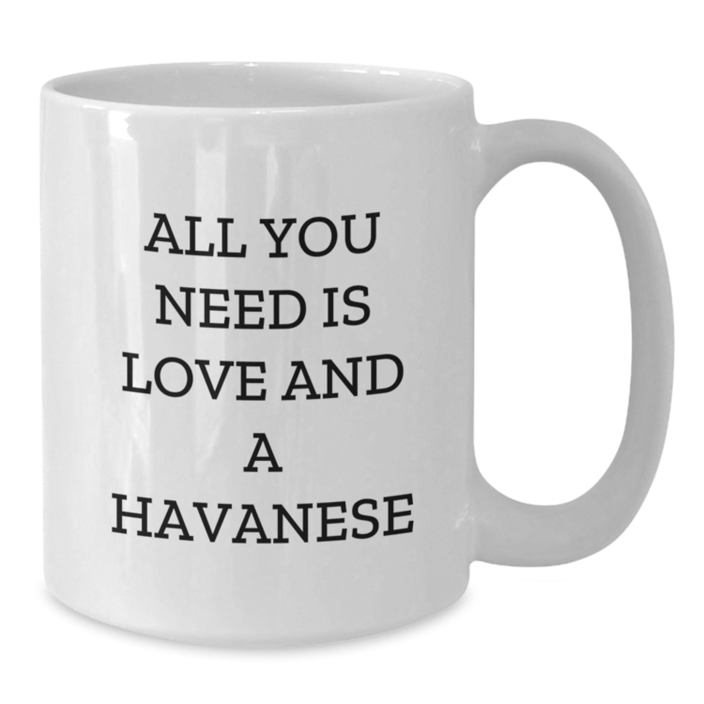 Havanese Dog Lovers Gifts from Family and Friends - All You Need Is Love And A Havanese Funny Quote White Coffee Mug for Graduation - Additional
