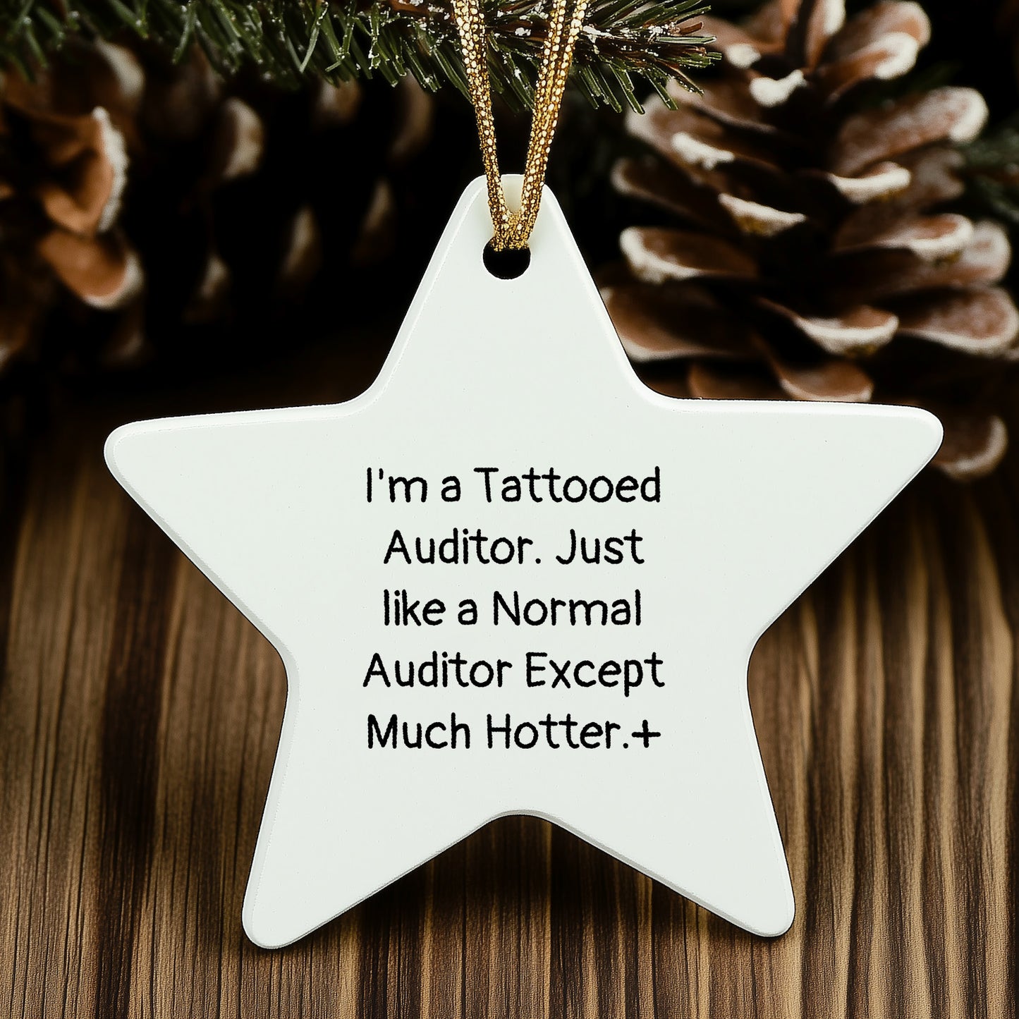 Auditor Gifts, Funny Quote Star Ornament, Gifts from Men to Coworkers, Perfect Christmas Unique Gifts for Auditor Friends