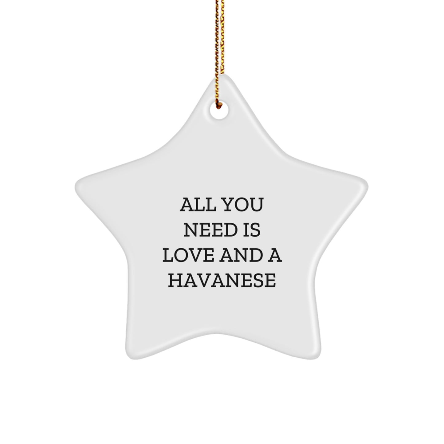 Havanese Dog Lovers' Star Ornament - 'All You Need Is Love And A Havanese'