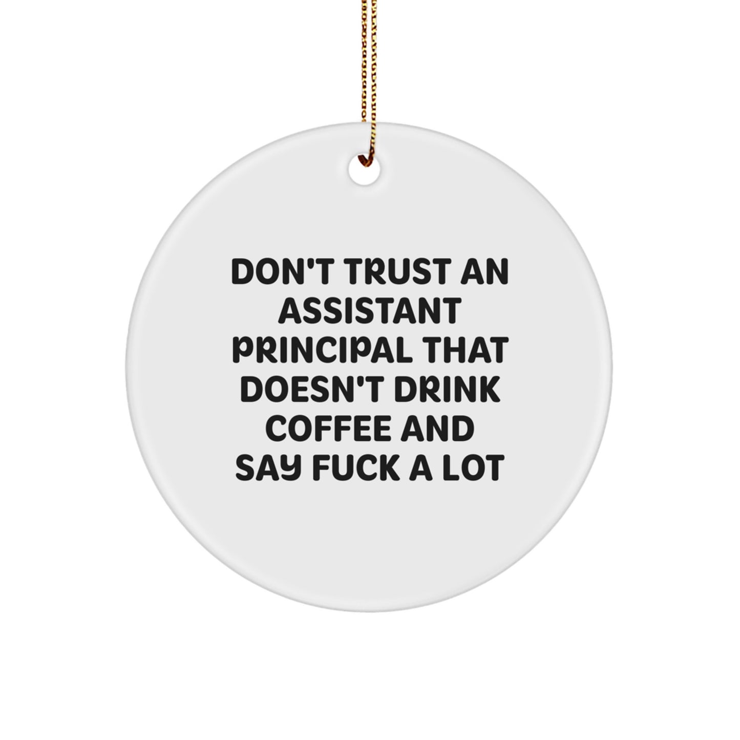 Funny Assistant Principal Gifts from Friends, Christmas Unique Ornament for Assistant Principals, Circle Shaped White - Image 1