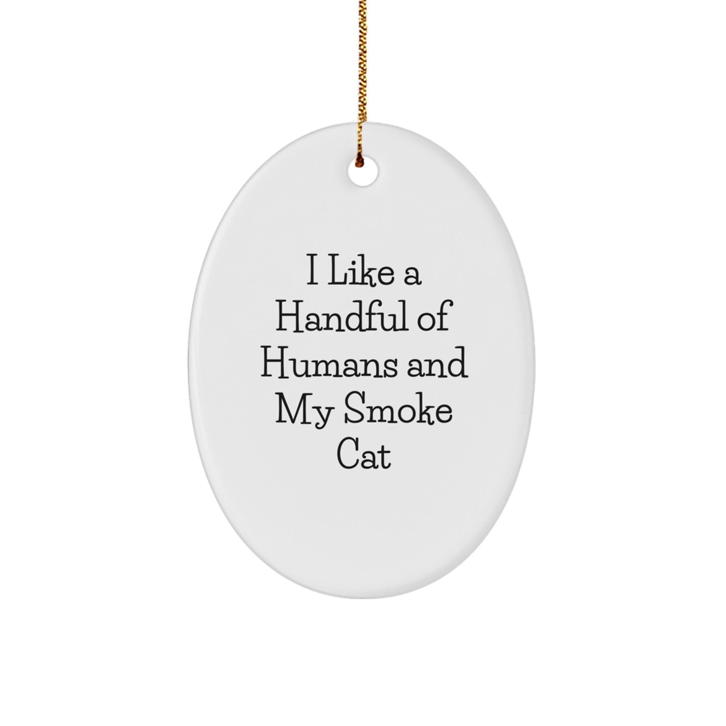 Funny Smoke Cat Oval Ornament Gifts from Family for Smoke Cat Lovers - Unique Christmas Decorations for Home - Oval Ornament with 'I Like A Handful Of Humans And My Smoke Cat' Quote - Image 1