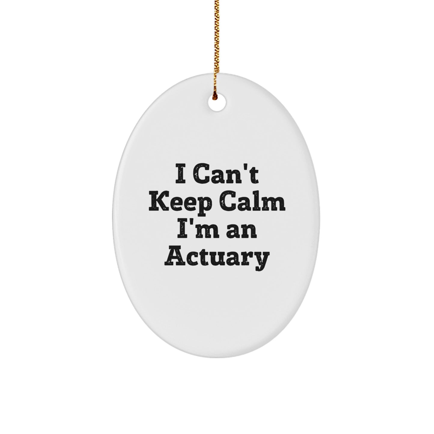 Funny Actuary Gifts from Friends, Unique Oval Ornament I Cant Keep Calm Im An Actuary, Christmas Decorations for Actuary Men Women Family - Image 1