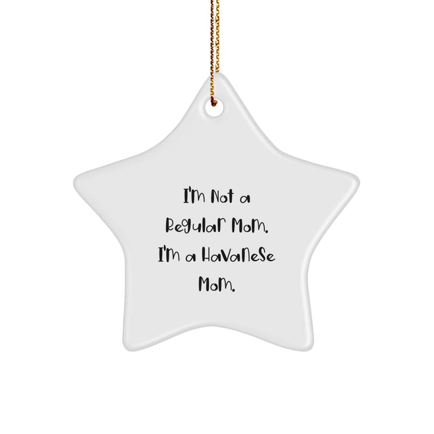 Funny Havanese Dog Christmas Unique Gifts from Mom to Havanese Dog Star Ornament for Home Decor - Image 1