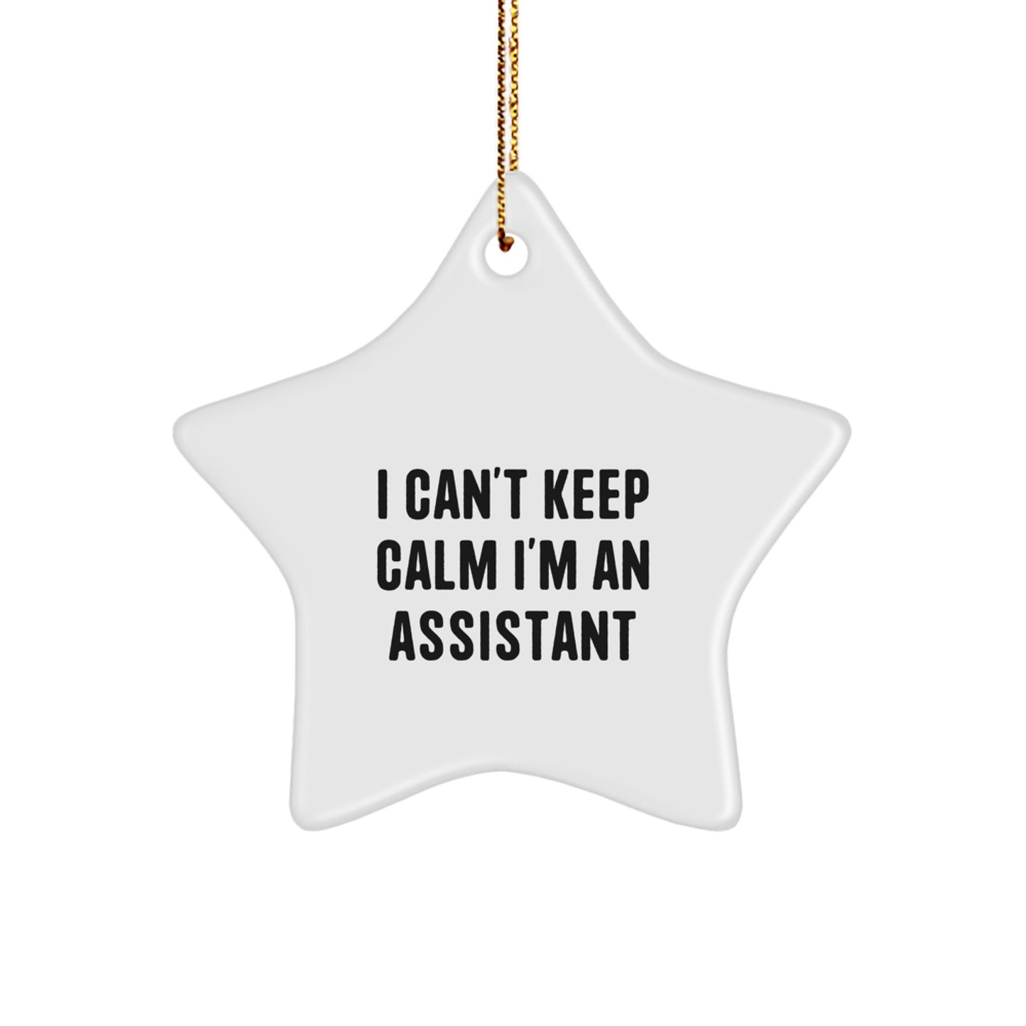Funny Christmas Unique Gifts from Men for Assistant Star Ornaments I Can't Keep Calm I'm An Assistant - Image 1