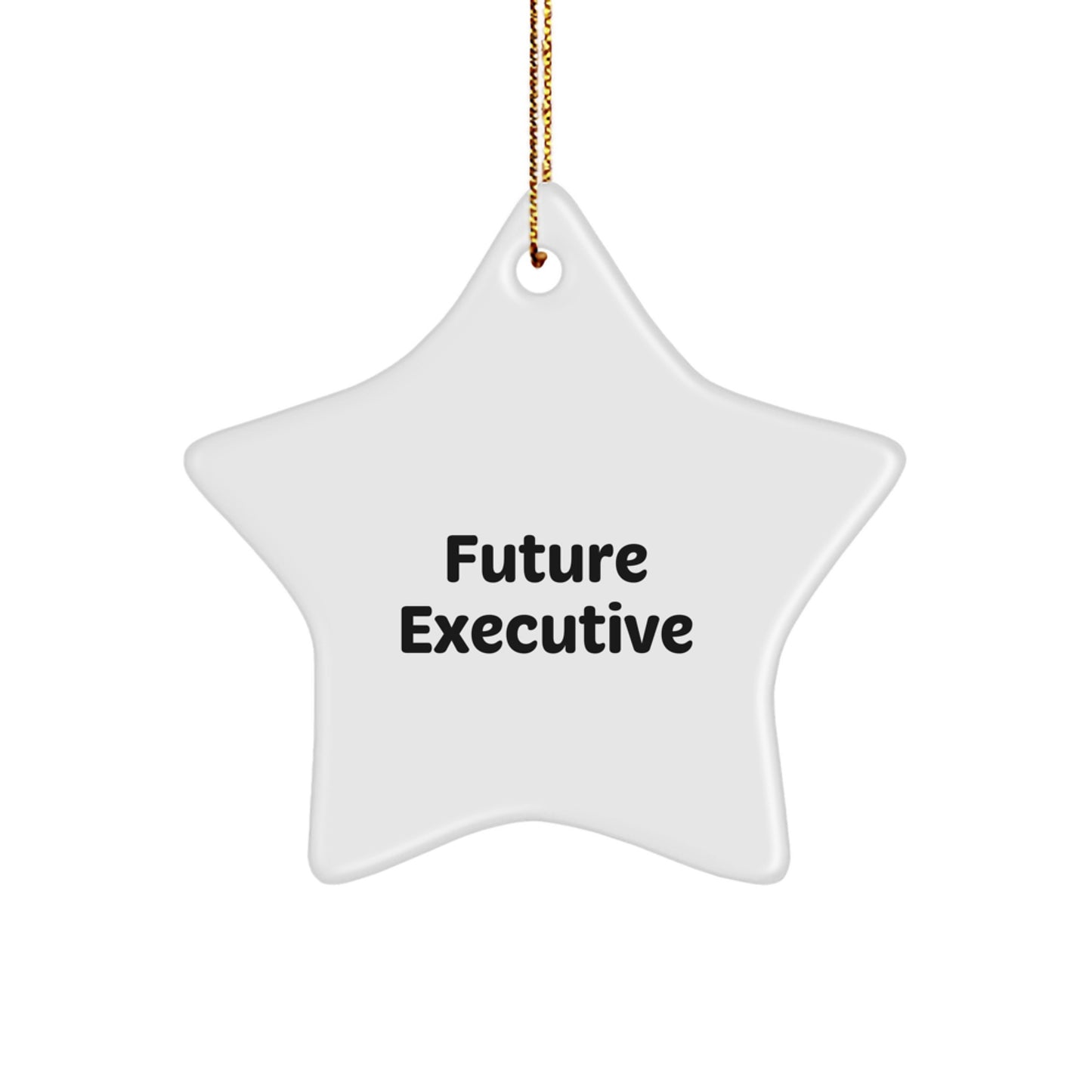 Funny Inspirational Executive Gifts from Men to Future Executive Star Ornament for Christmas - Unique Office Decor for Executive Women Friends and Family - Image 1