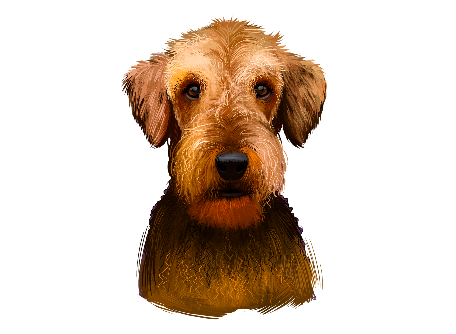Airedale Terrier