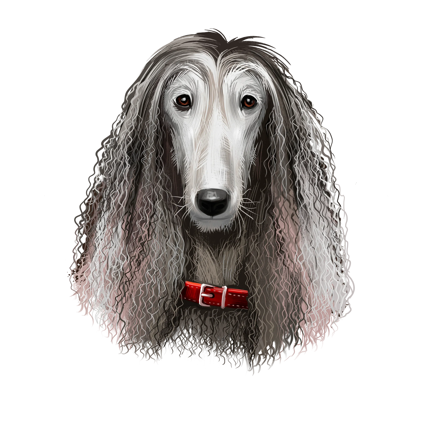 Black Coffee Mugs for Afghan Hound Dog Lovers