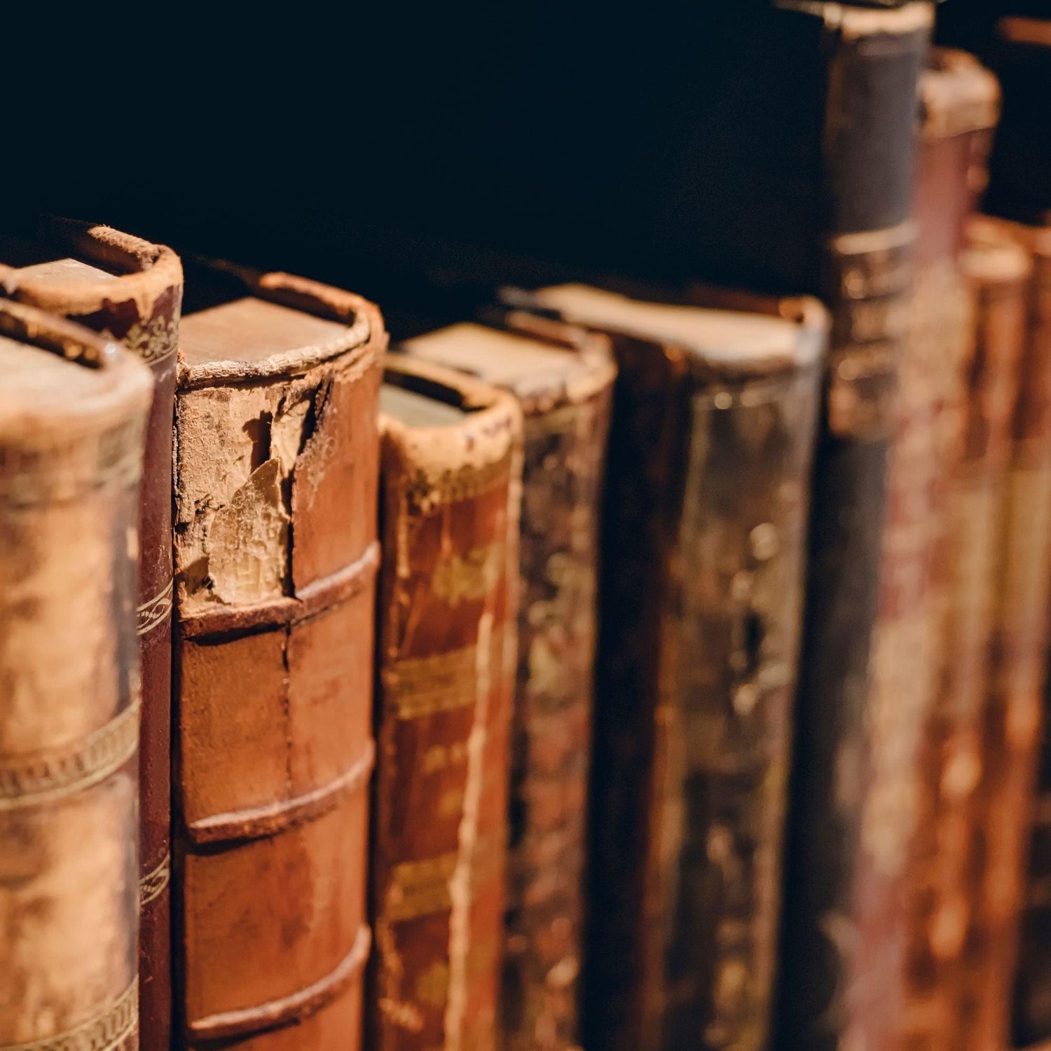 Black Coffee Mugs for Antique Book Collecting Enthusiasts