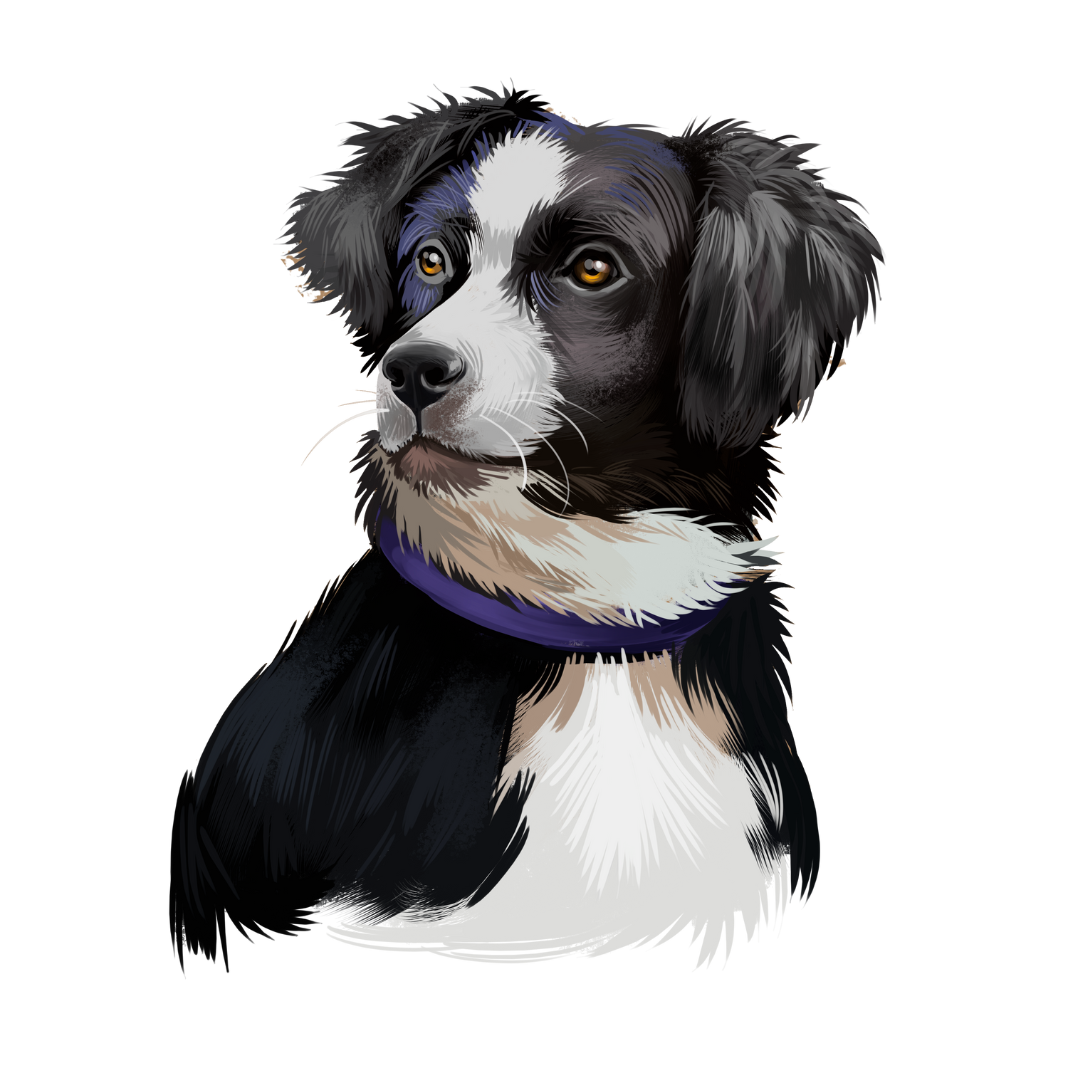 Black Coffee Mugs for Australian Shepherd Dog Lovers