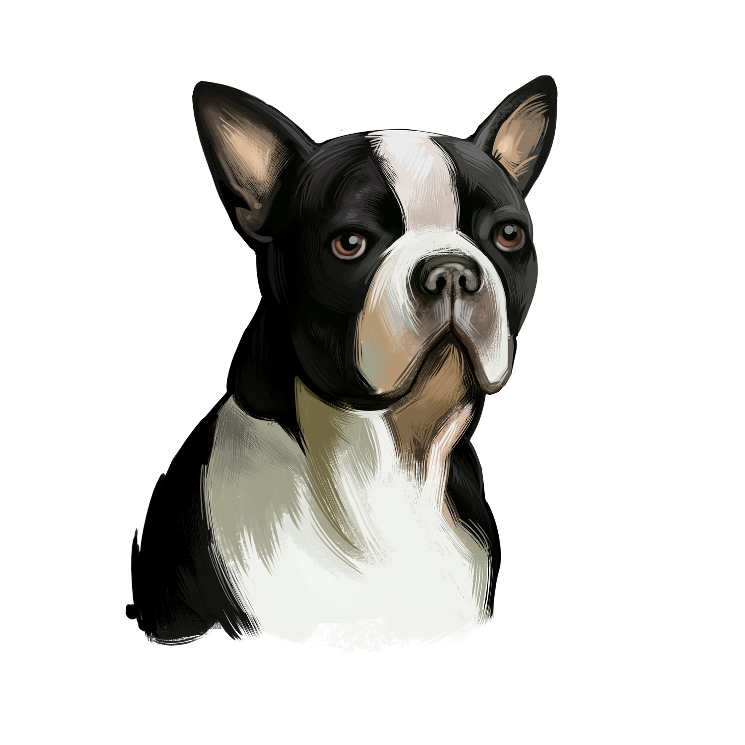 Black Coffee Mugs for Boston Terrier Dog Lovers