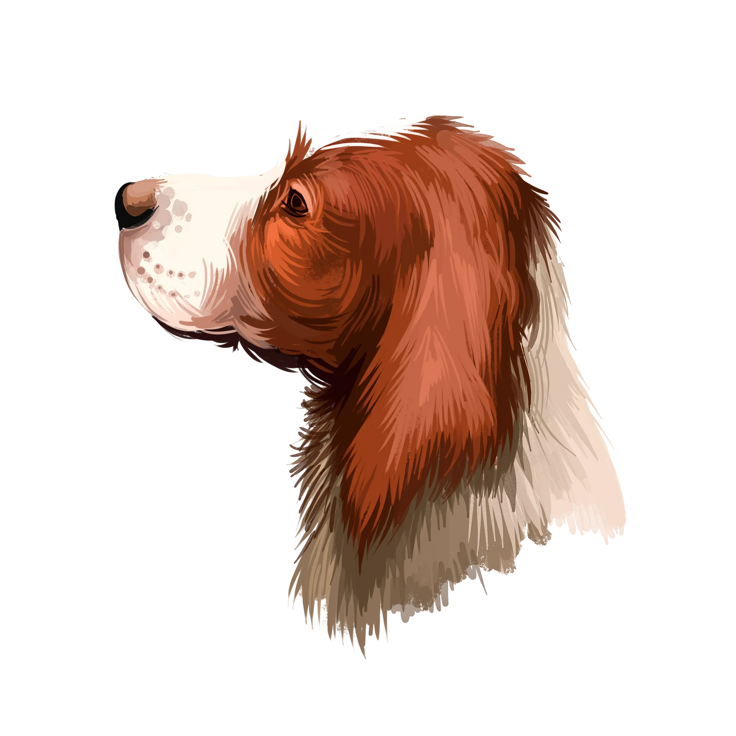 Black Coffee Mugs for English Setter Dog Lovers