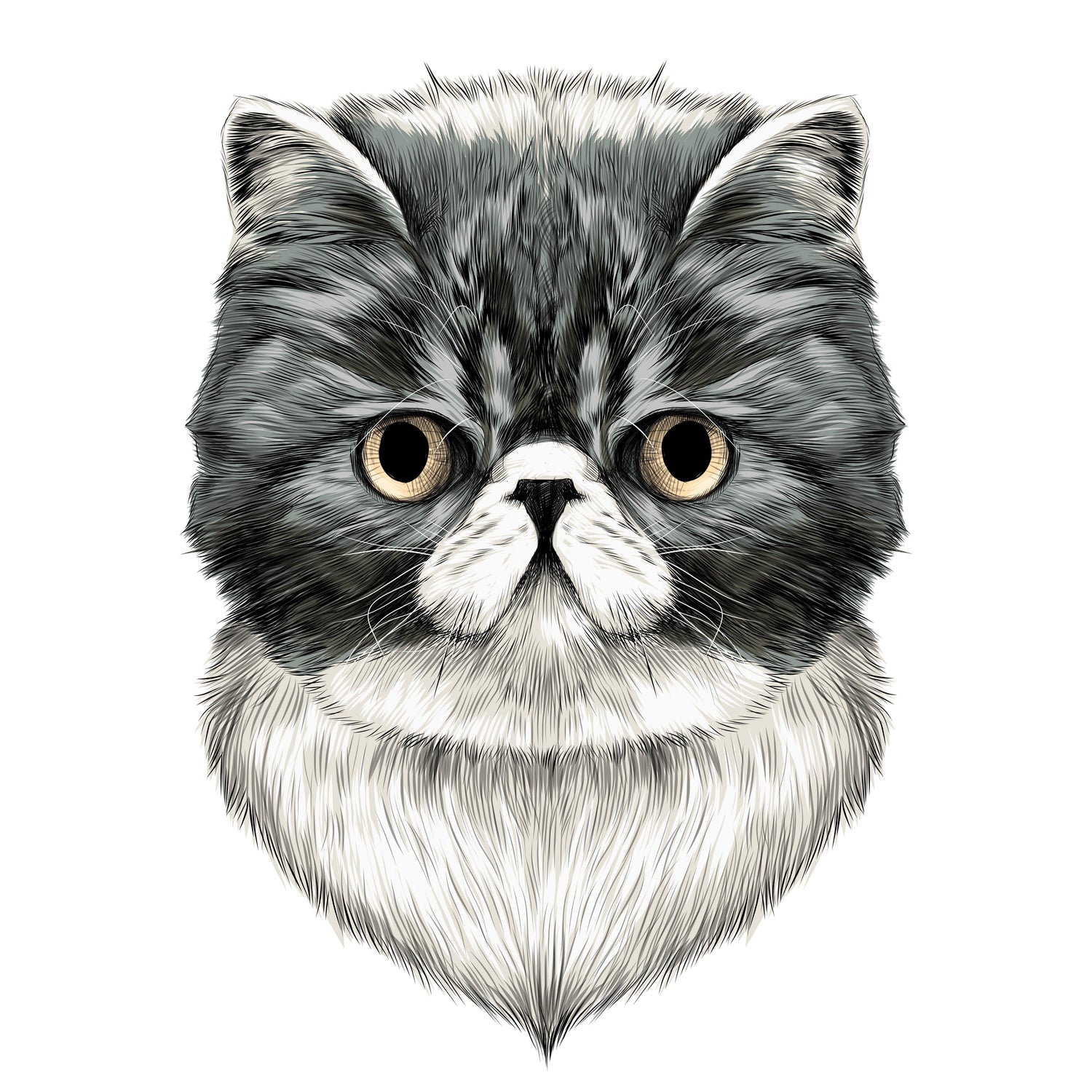 Black Coffee Mugs for Exotic Shorthair Cat Lovers