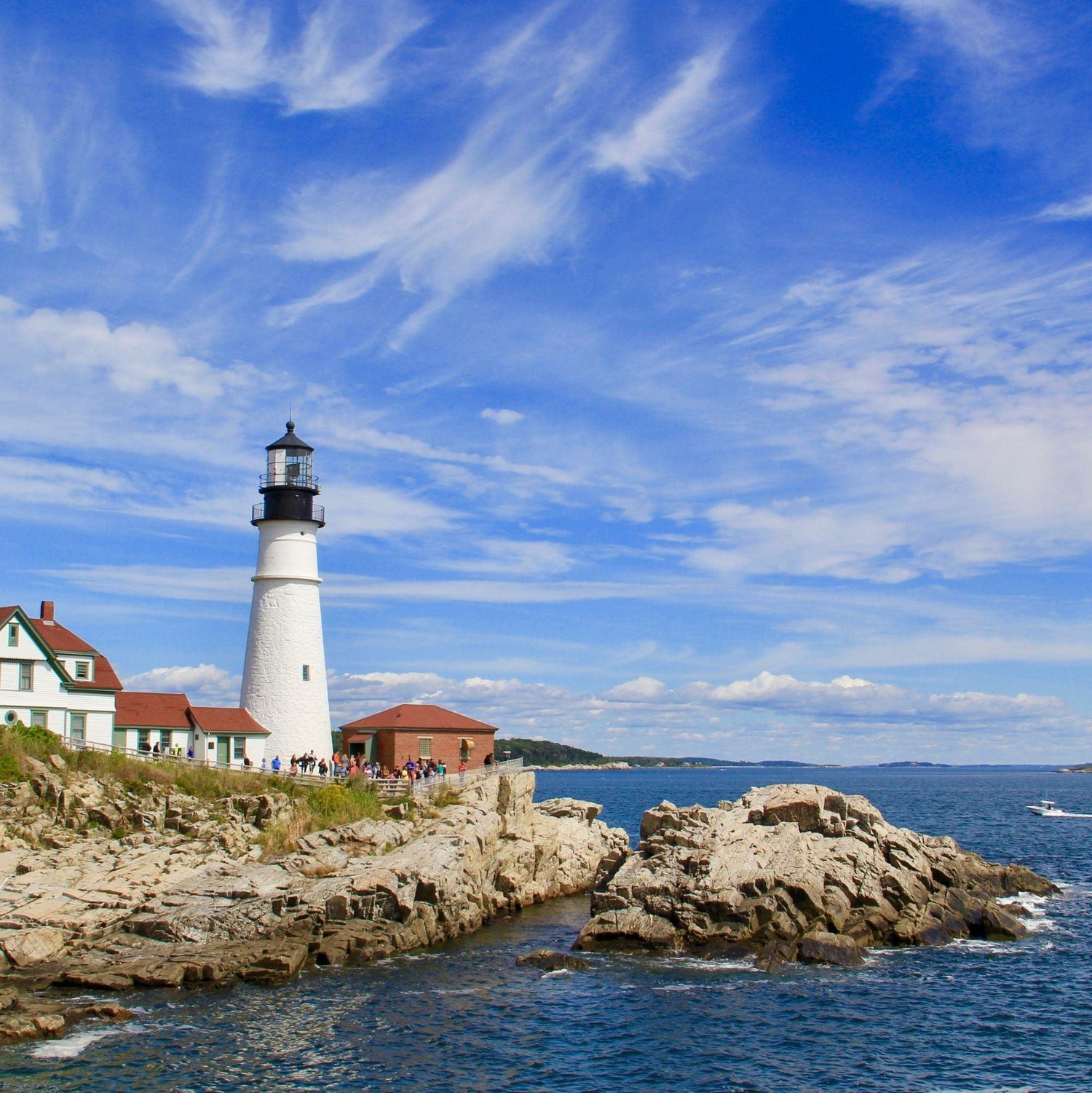 Black Coffee Mugs for Mainers