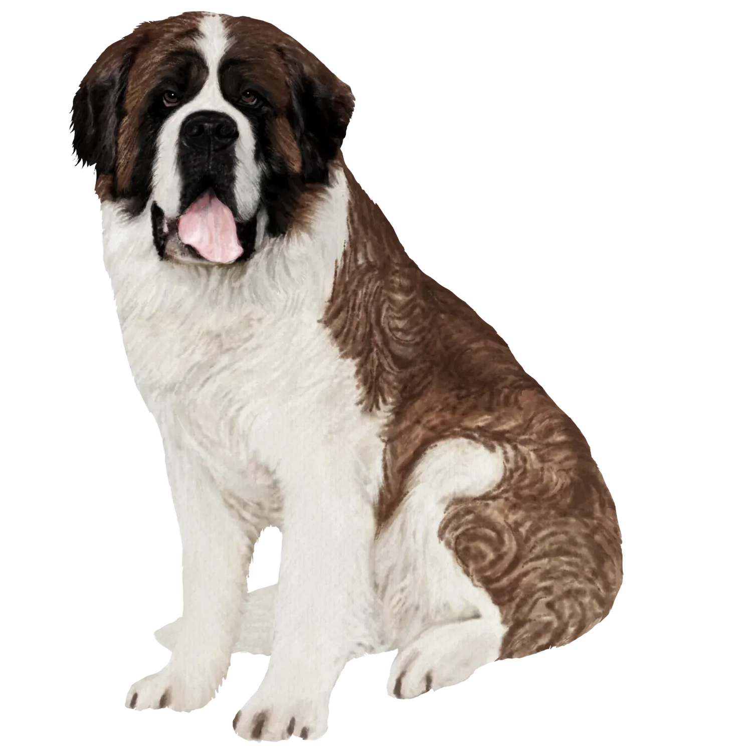 Black Coffee Mugs for Saint Bernard Dog Lovers