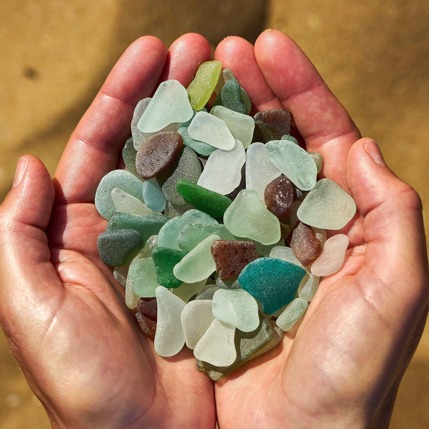 Black Coffee Mugs for Sea Glass Collecting Enthusiasts