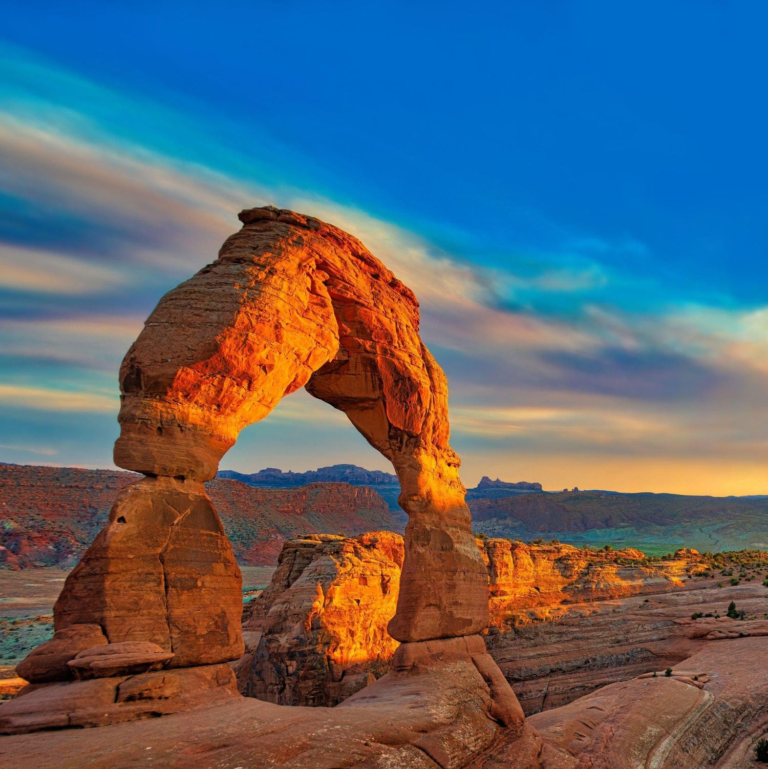Black Coffee Mugs for Utahns
