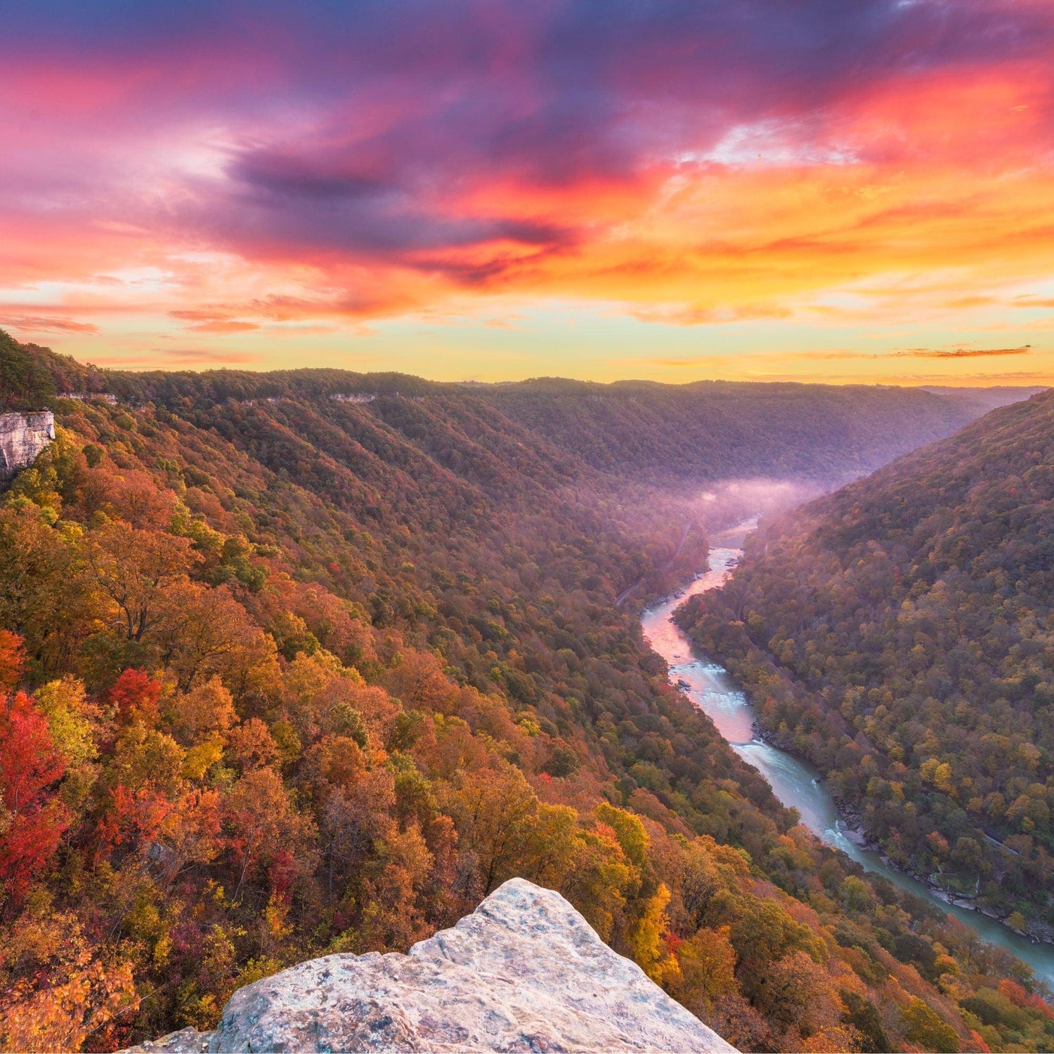 Black Coffee Mugs for Virginians