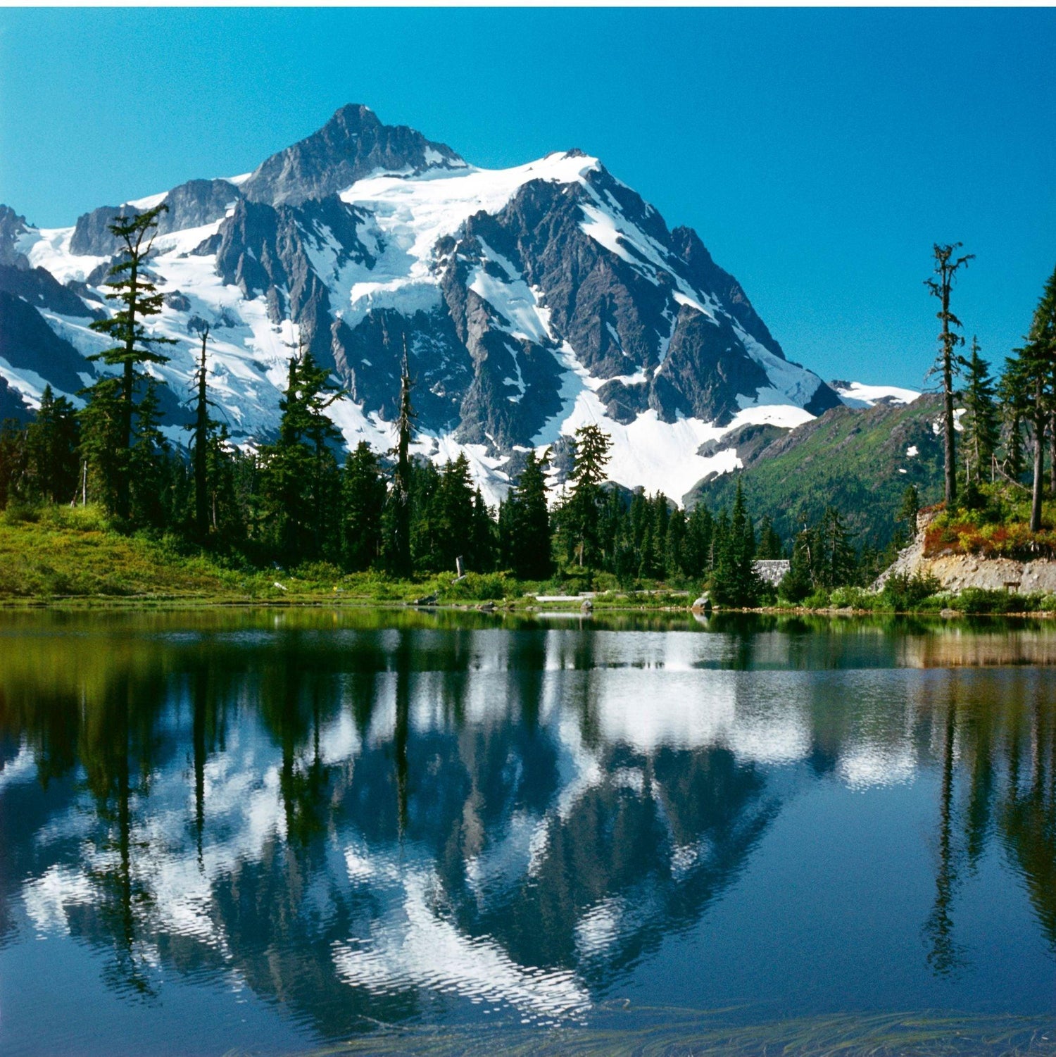 Black Coffee Mugs for Washingtonians