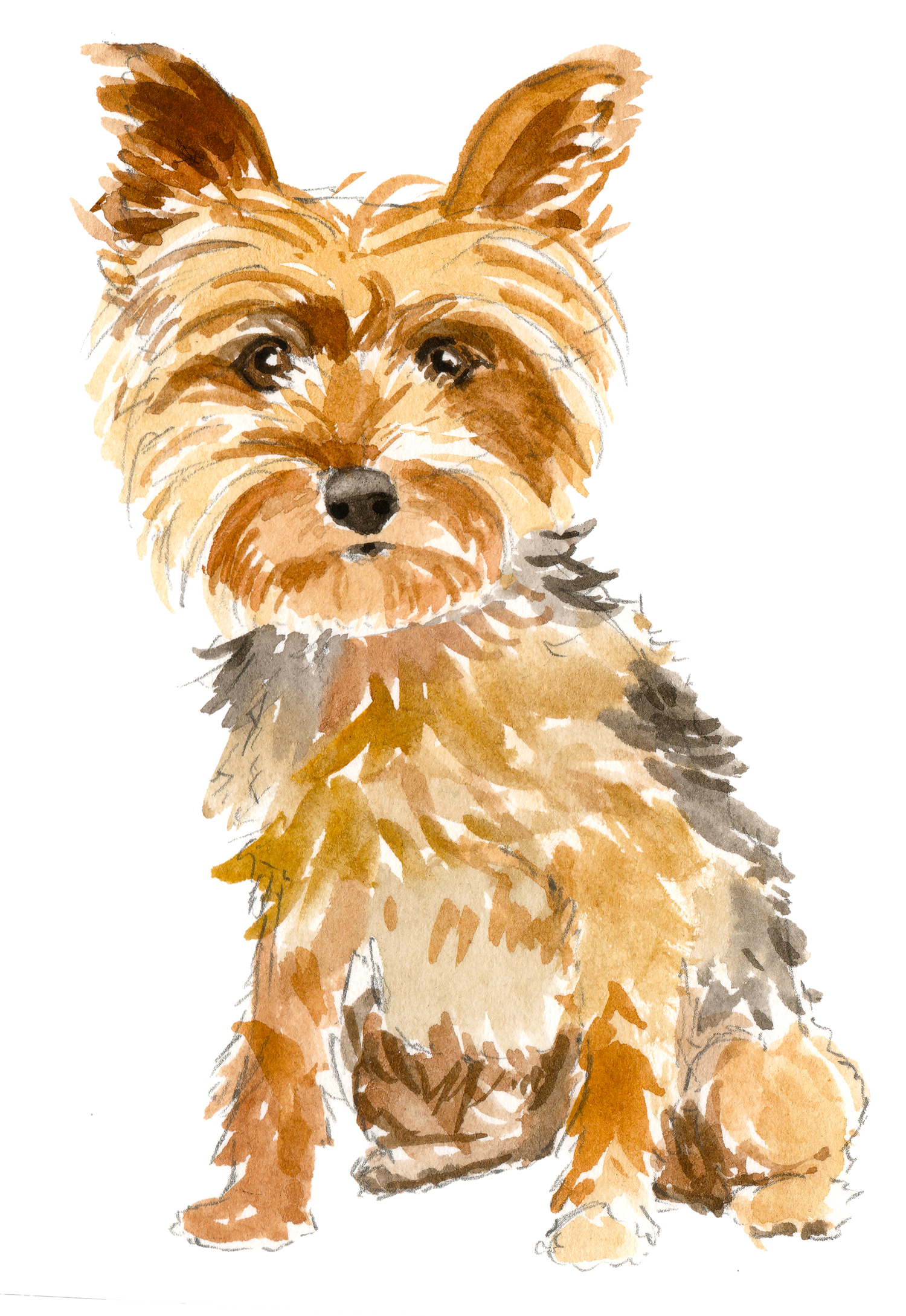 Black Coffee Mugs for Yorkshire Terrier Dog Lovers