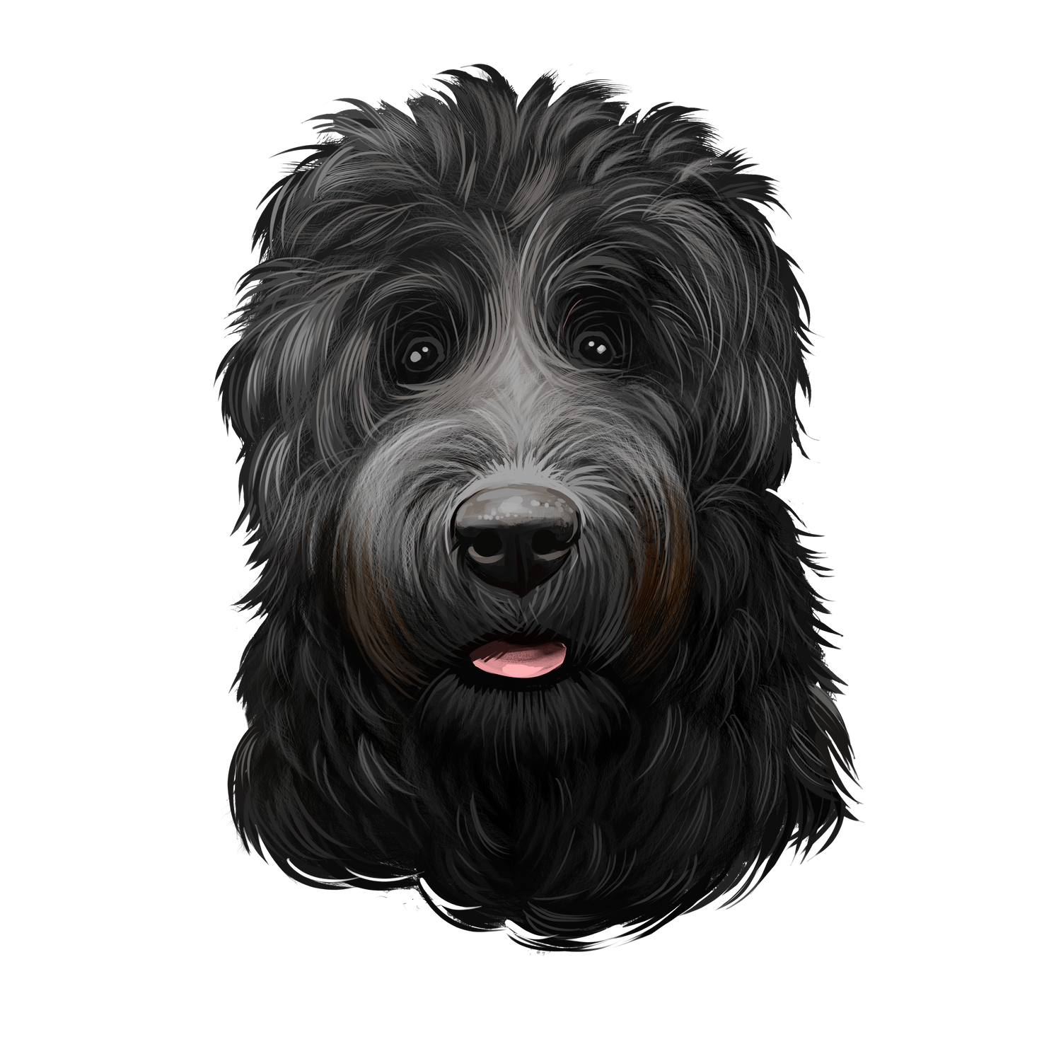 Black Russian Terrier
