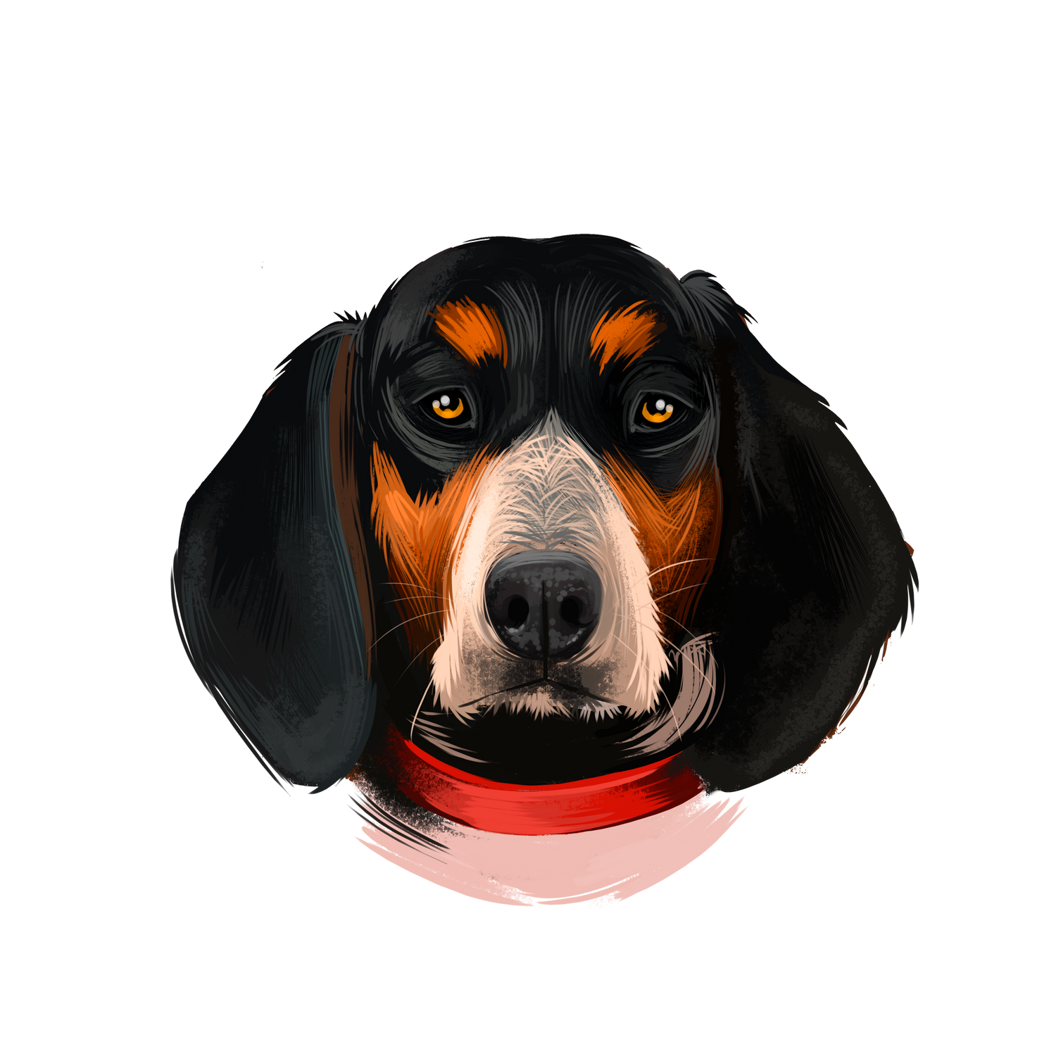 Bluetick Coonhound