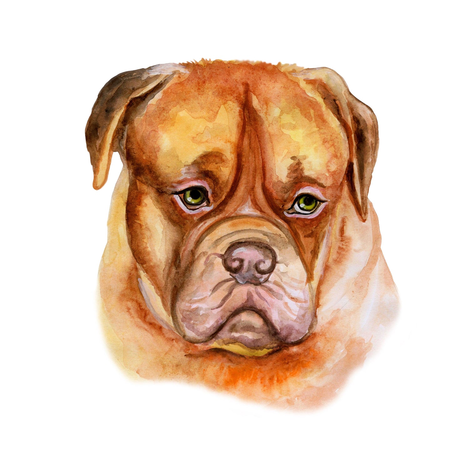 Bordeaux Mastiff