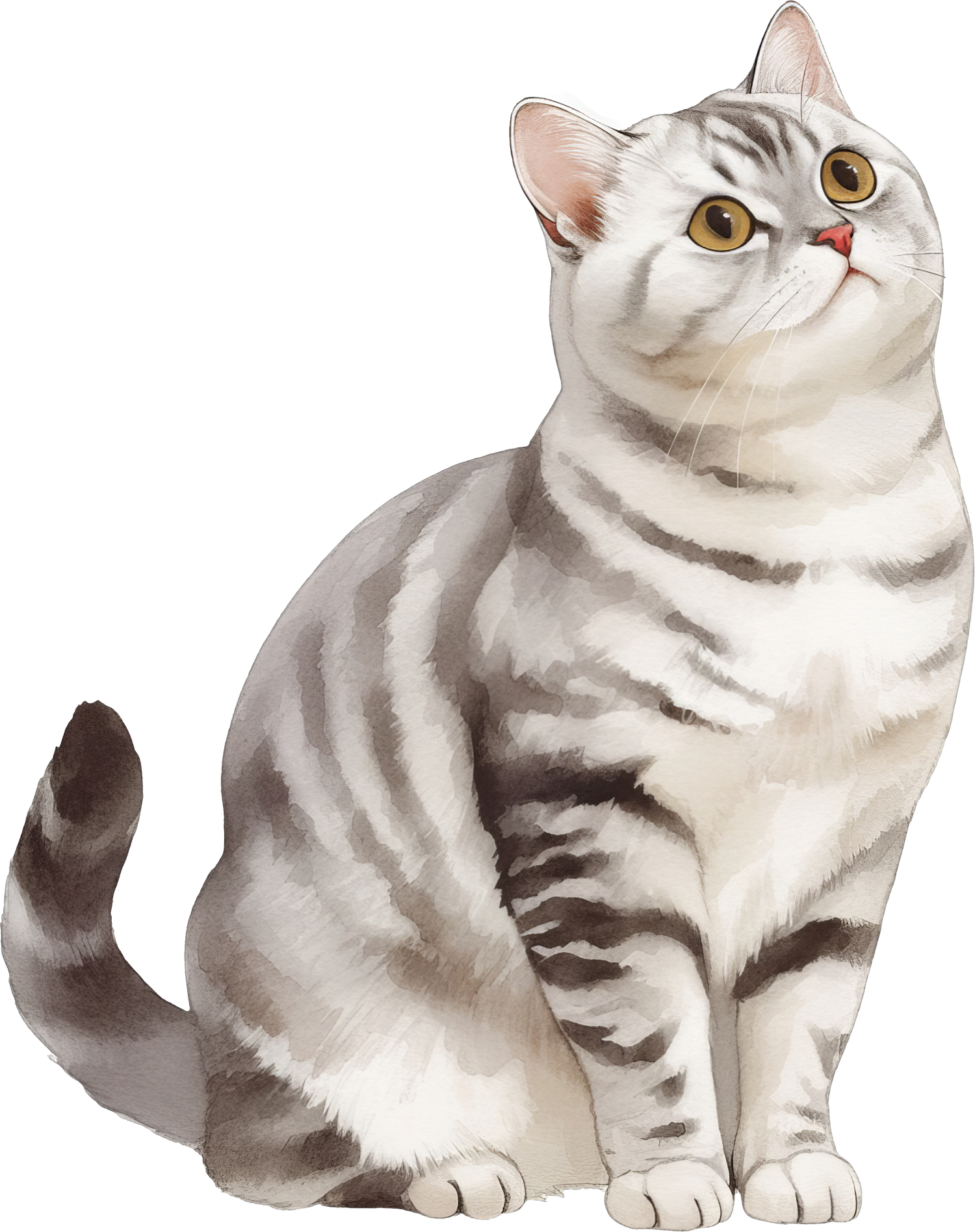Bracelets for American Shorthair Cat Lovers