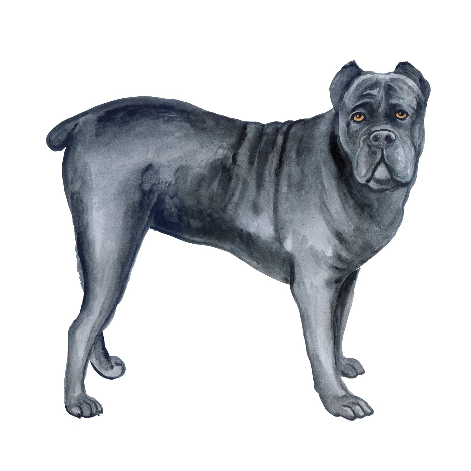 Bracelets for Cane Corso Dog Lovers