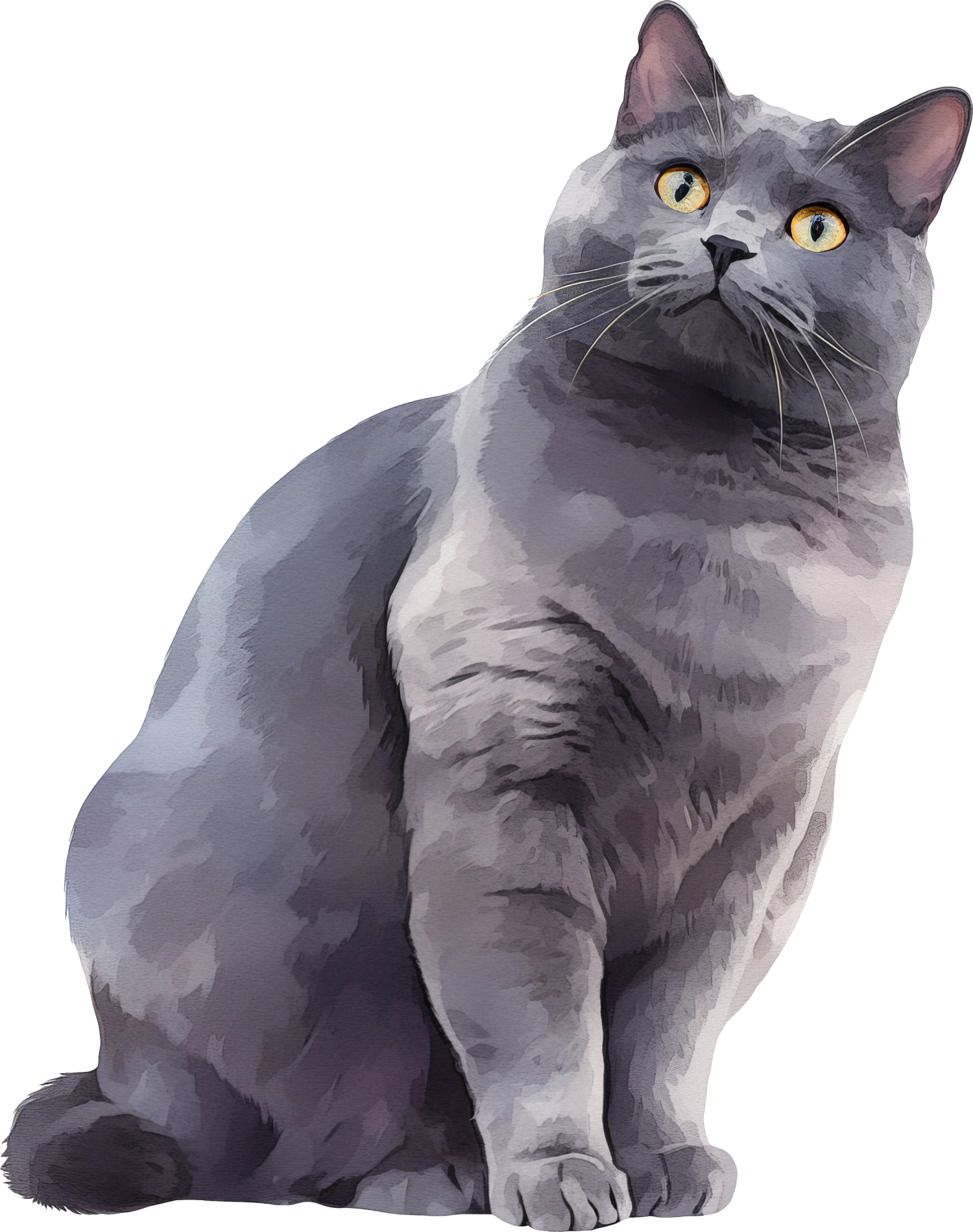 Bracelets for Chartreux Cat Lovers