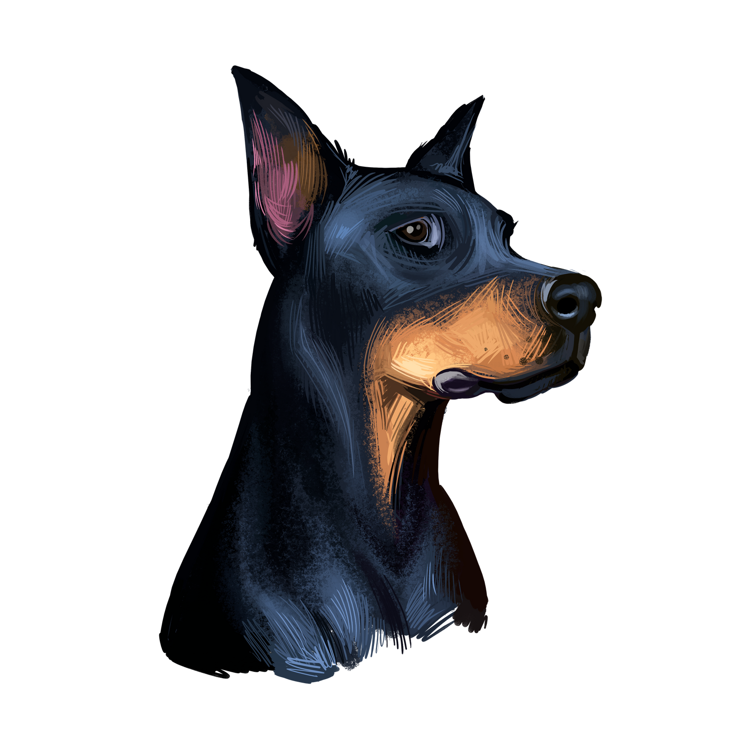 Bracelets for Doberman Pinscher Dog Lovers