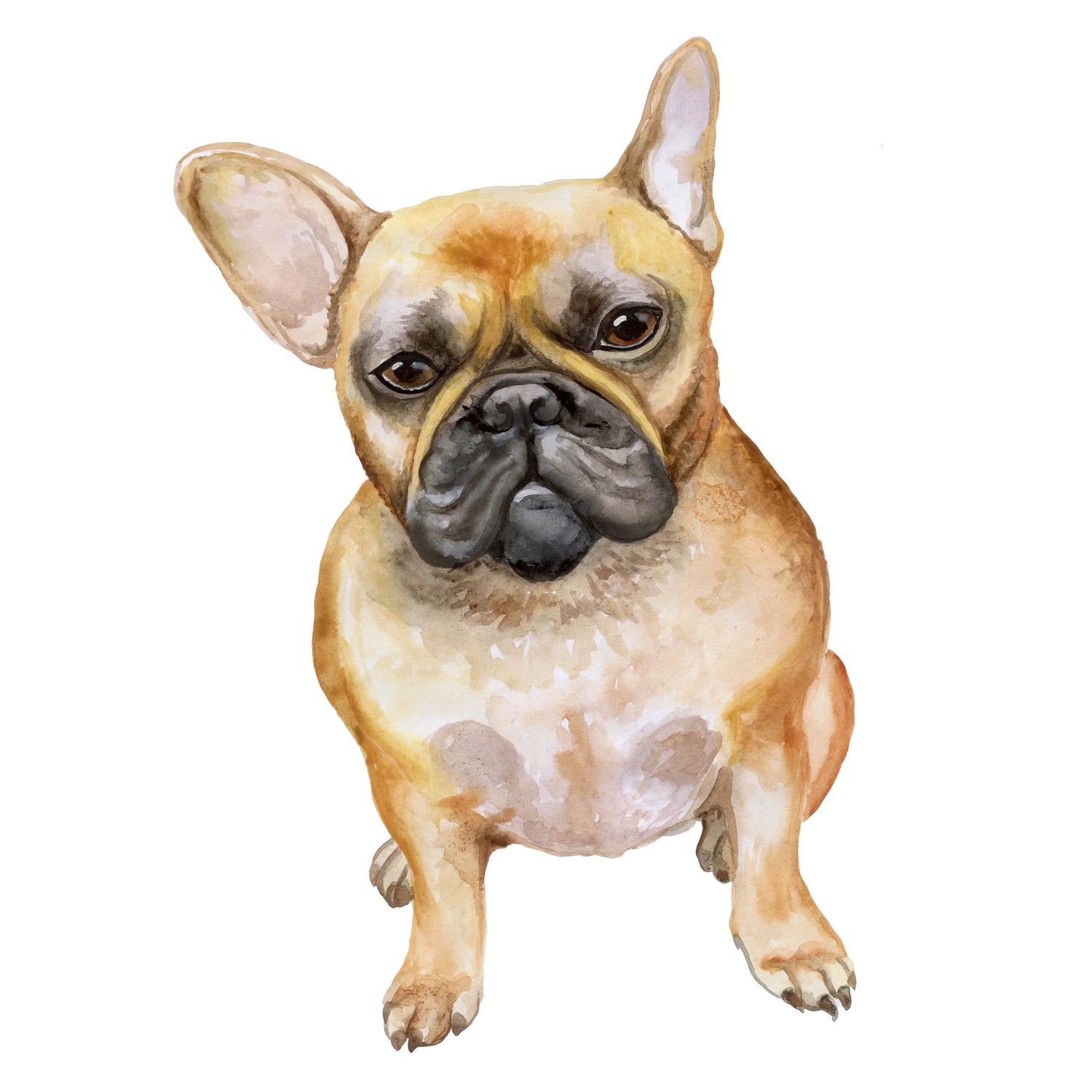 Bracelets for French Bulldog Lovers