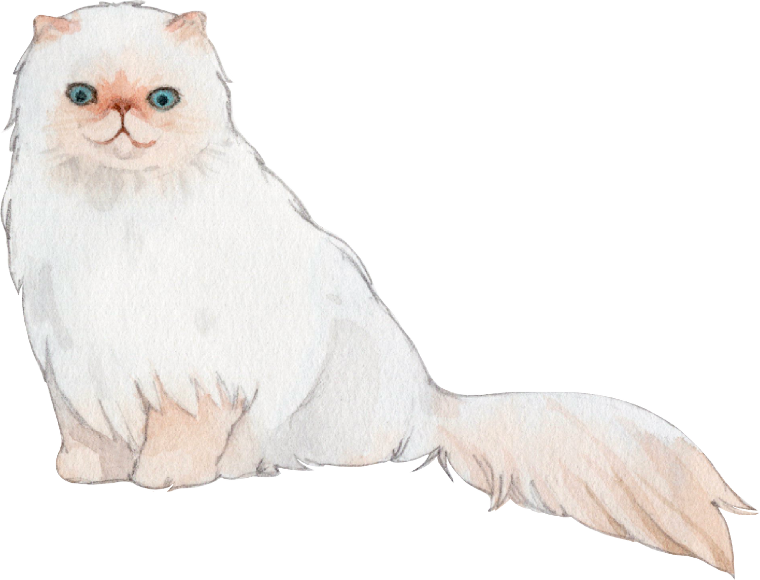 Bracelets for Himalayan Cat Lovers