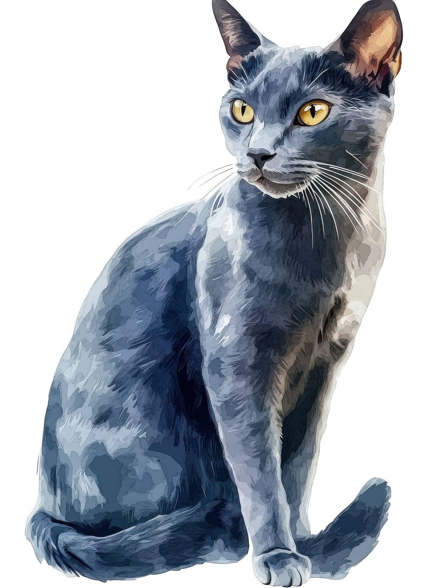 Bracelets for Korat Cat Lovers