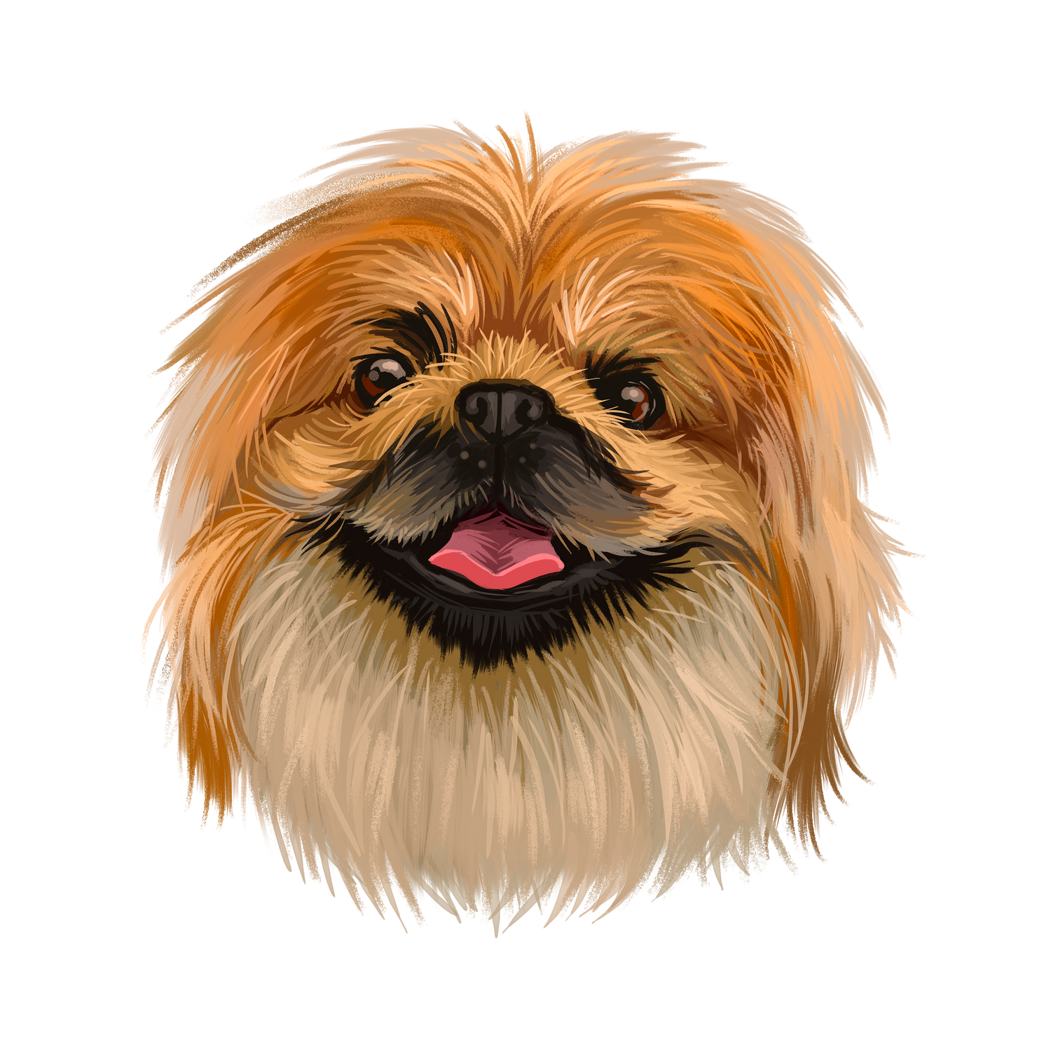 Bracelets for Pekingese Dog Lovers