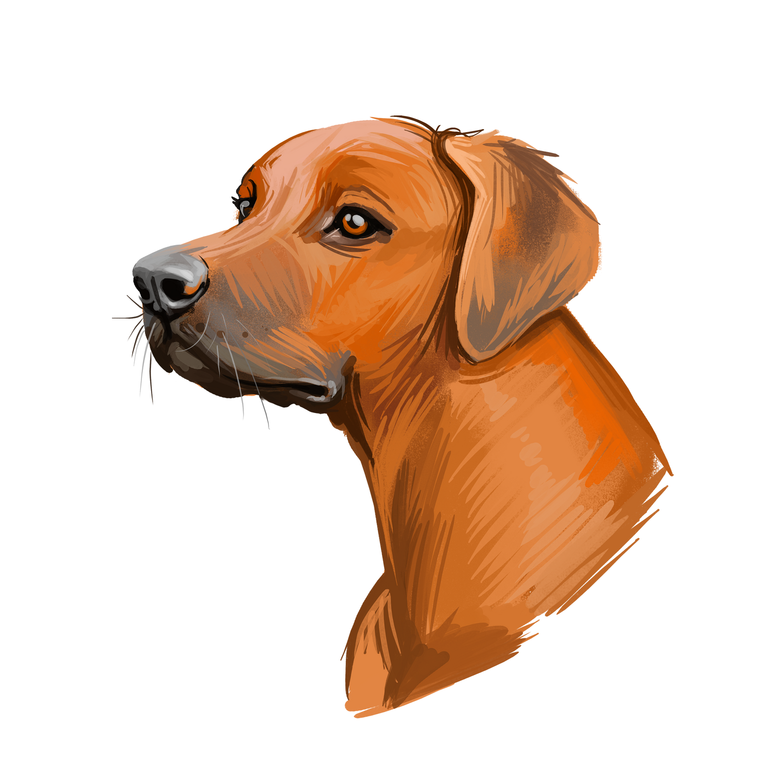 Bracelets for Rhodesian Ridgeback Dog Lovers