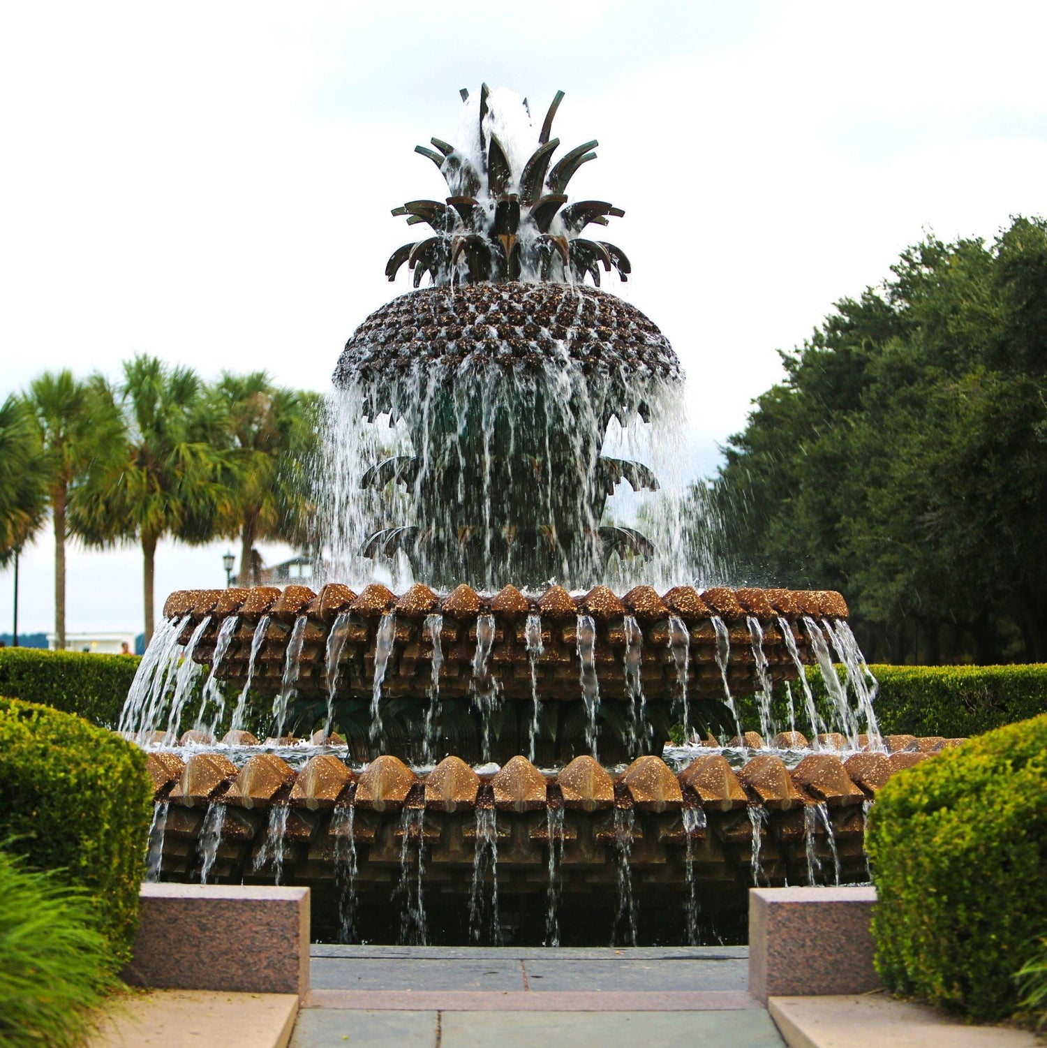 Bracelets for South Carolinians