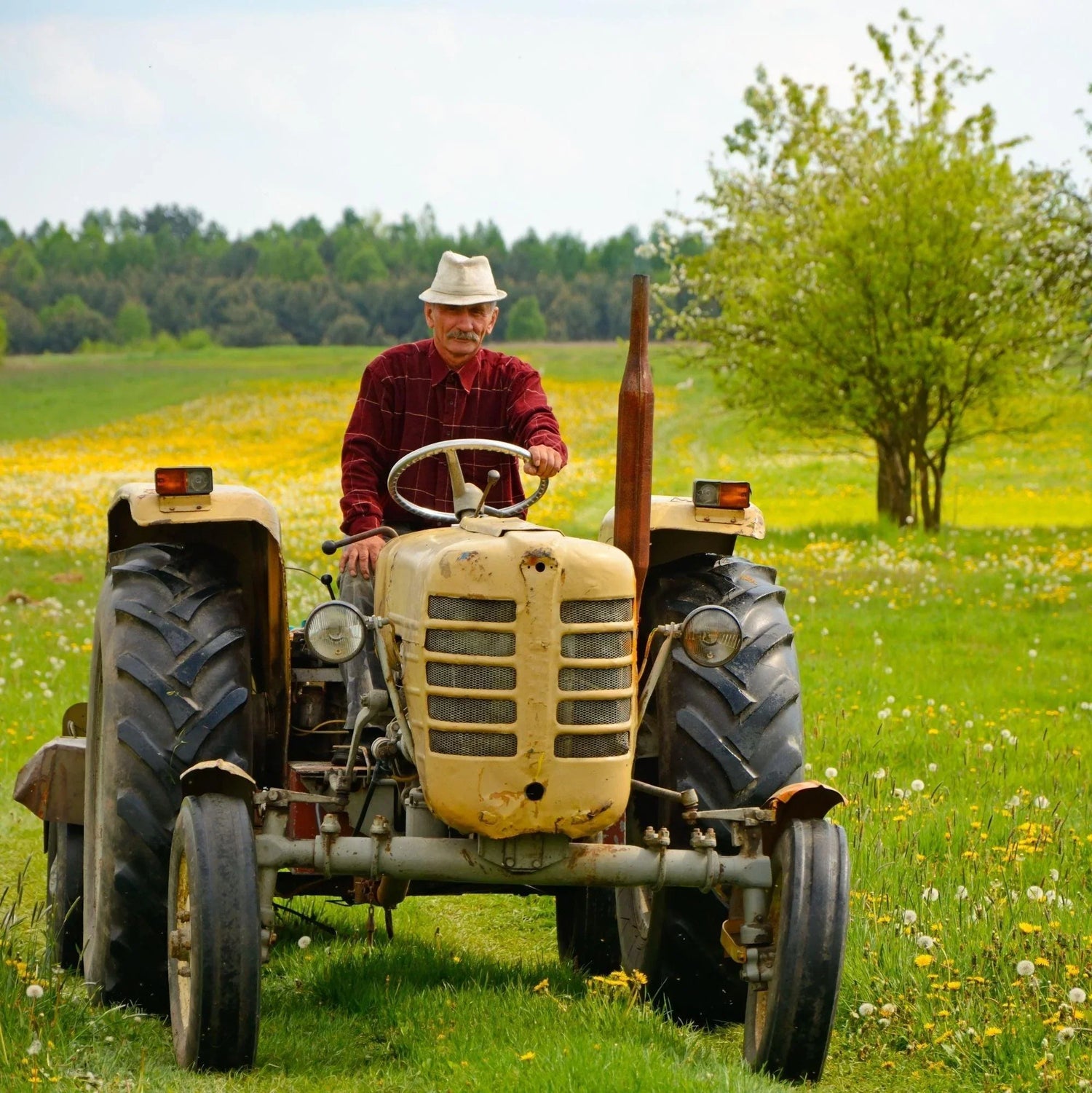 Black Coffee Mugs for Farmers