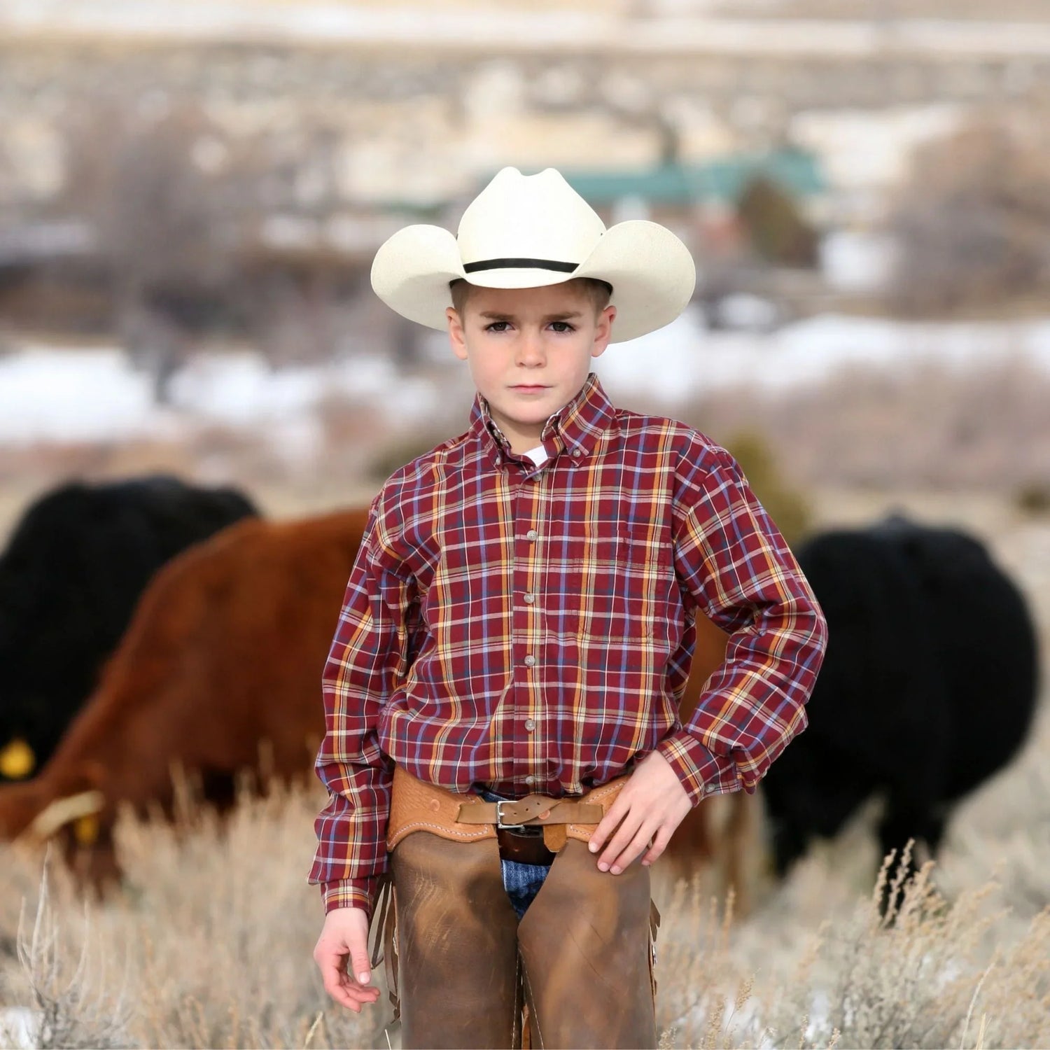 Black Coffee Mugs for Ranchers