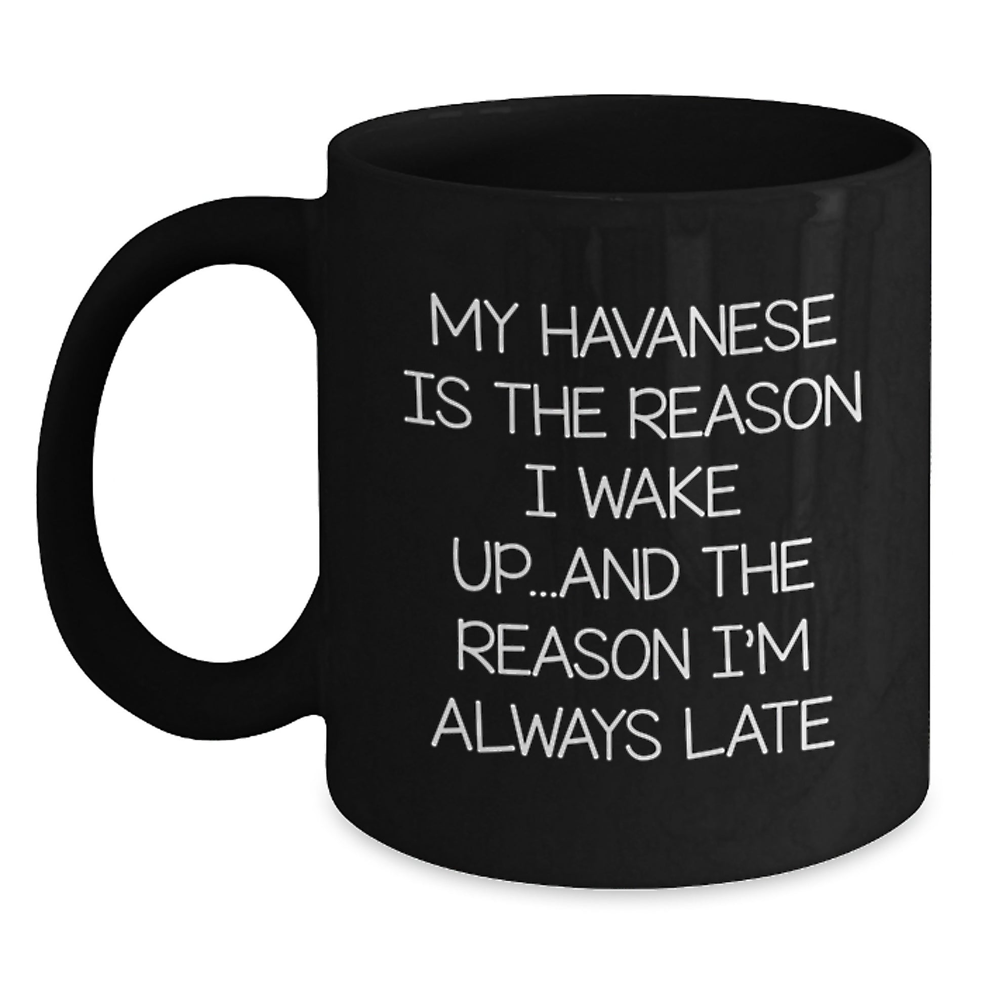 Funny Havanese Dog Lovers Gifts from Friends for Birthday Unique Mugs - Main