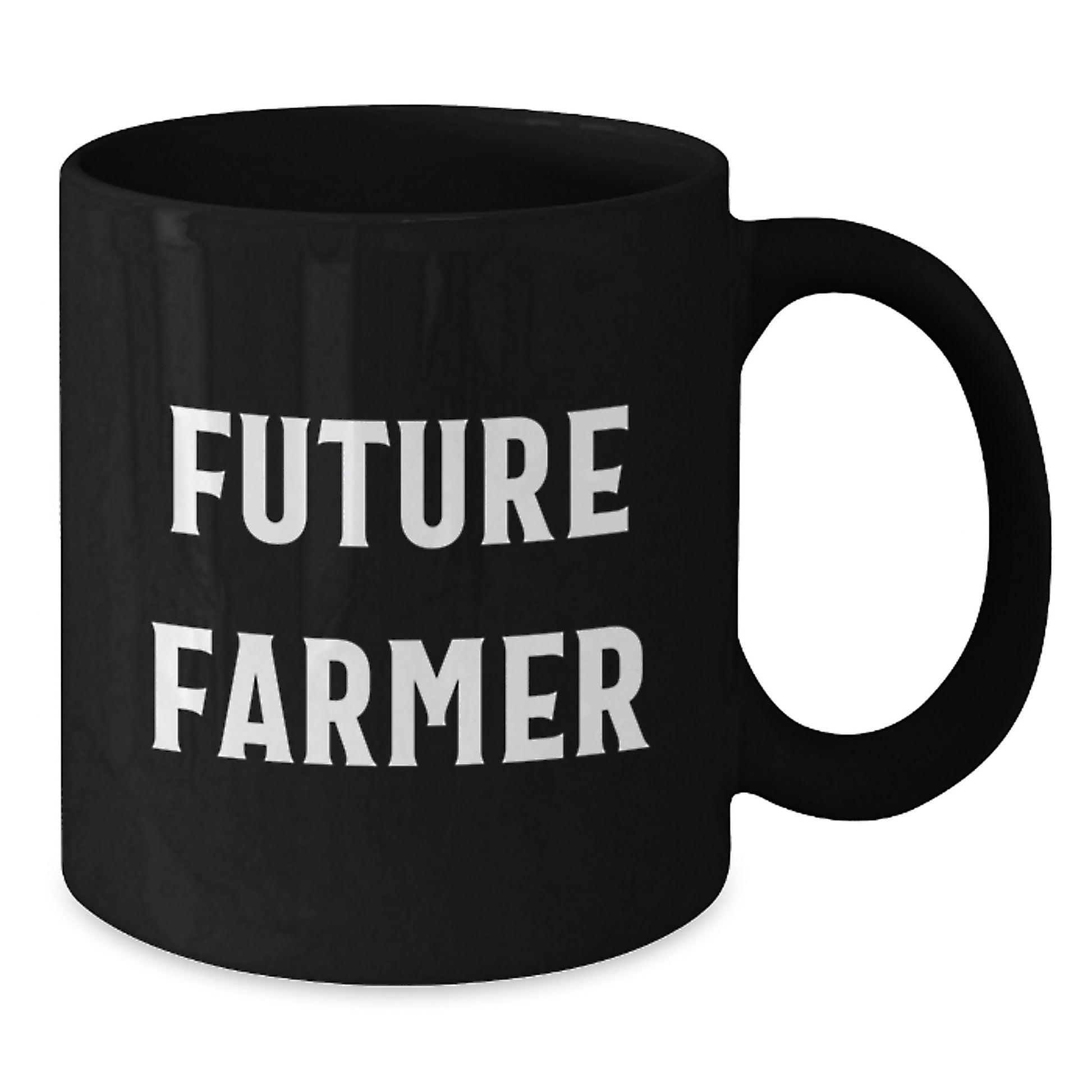 Funny Farmer Christmas Unique Gifts from Men to Future Farmers - Inspirational Black Coffee Mug - Additional