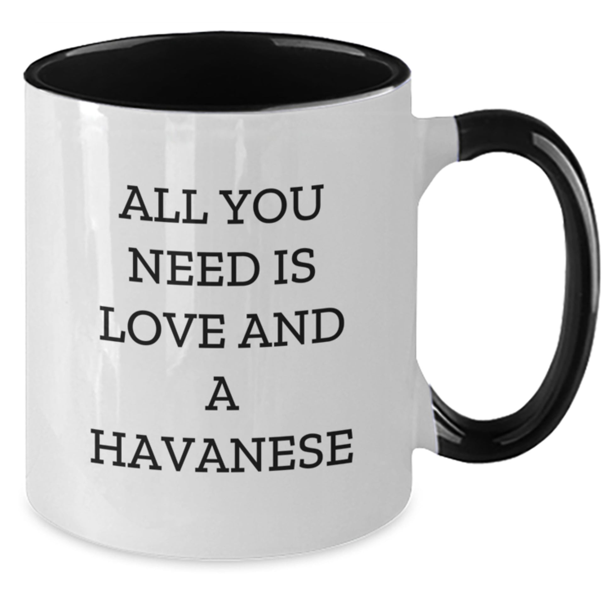 Funny Havanese Dog Gifts, All You Need Is Love And A Havanese, 11oz Two Tone Coffee Mug for Graduation - Gifts from Friends to Havanese Dog Lovers - Additional