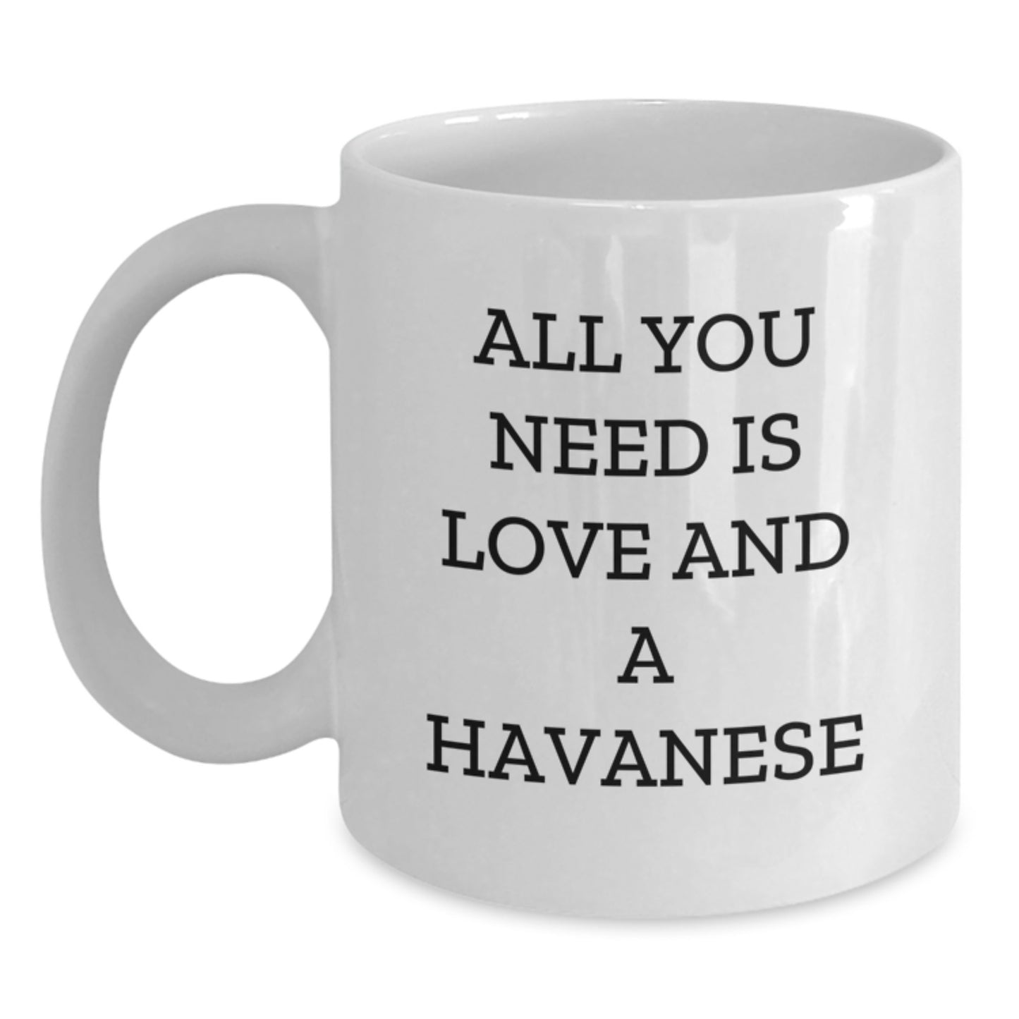 Havanese Dog Lovers Gifts from Family and Friends - All You Need Is Love And A Havanese Funny Quote White Coffee Mug for Graduation - Main