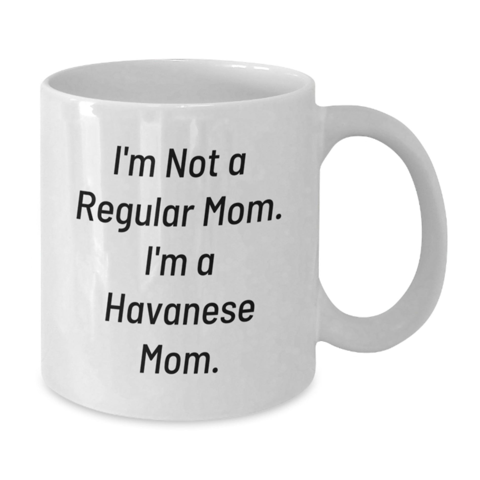 Funny Havanese Dog Gifts for Mom, White Coffee Mugs from Friends and Family, Christmas Unique Presents - Additional