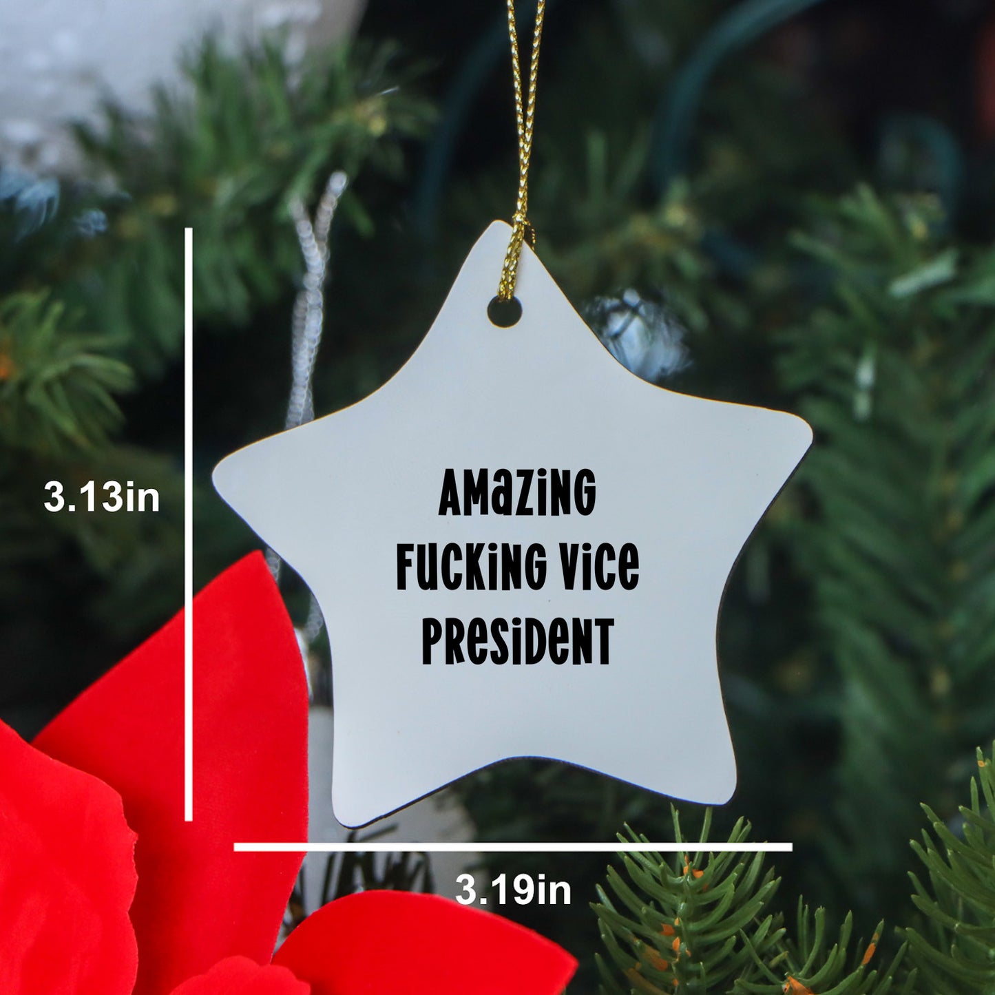 Funny Vice President Gifts from Friends and Family - Amazing F--king Vice President Star Ornament for Christmas Unique Gifts