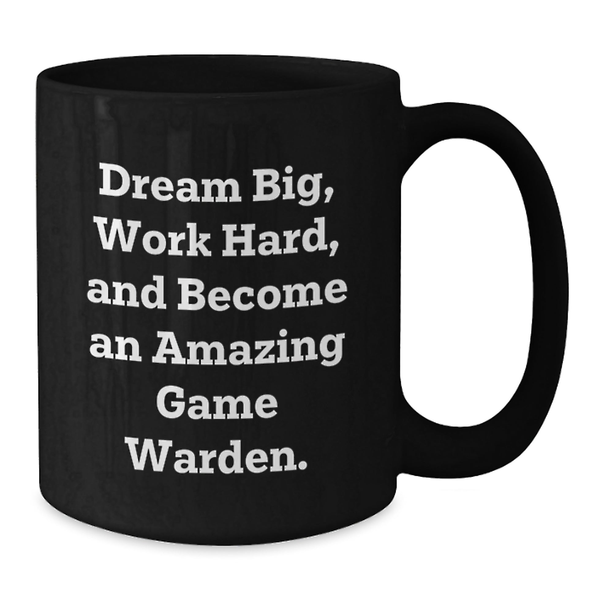 Game Warden Inspirational Gifts, Funny Quote Coffee Mugs for Men, Women, Friends, Coworkers, and Family, Birthday Unique Gifts from Men, Women, Friends, Coworkers, and Family - Additional