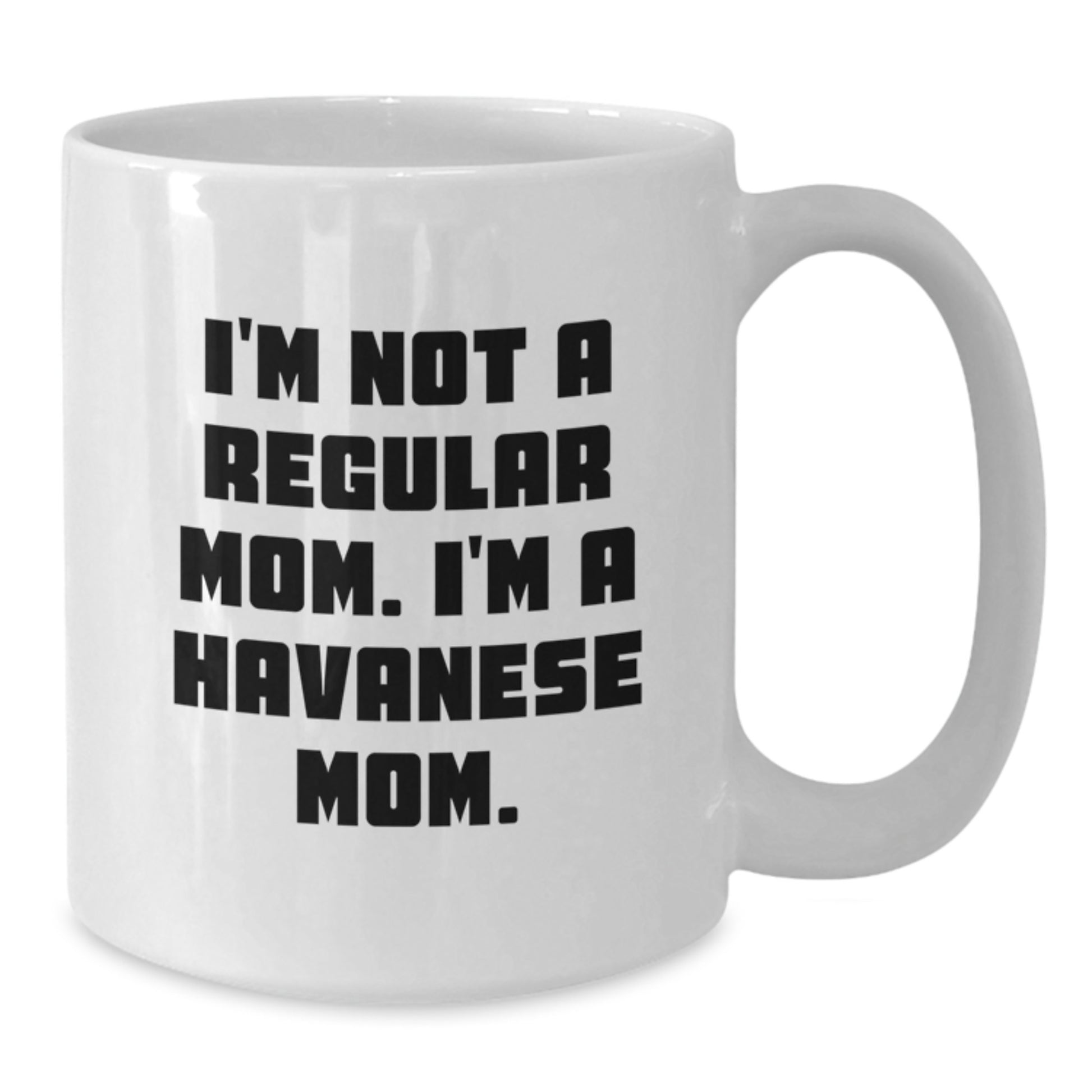Funny Havanese Dog Mom Gifts from Friends, White Coffee Mug for Havanese Dog Lover, Christmas Unique Present - Additional