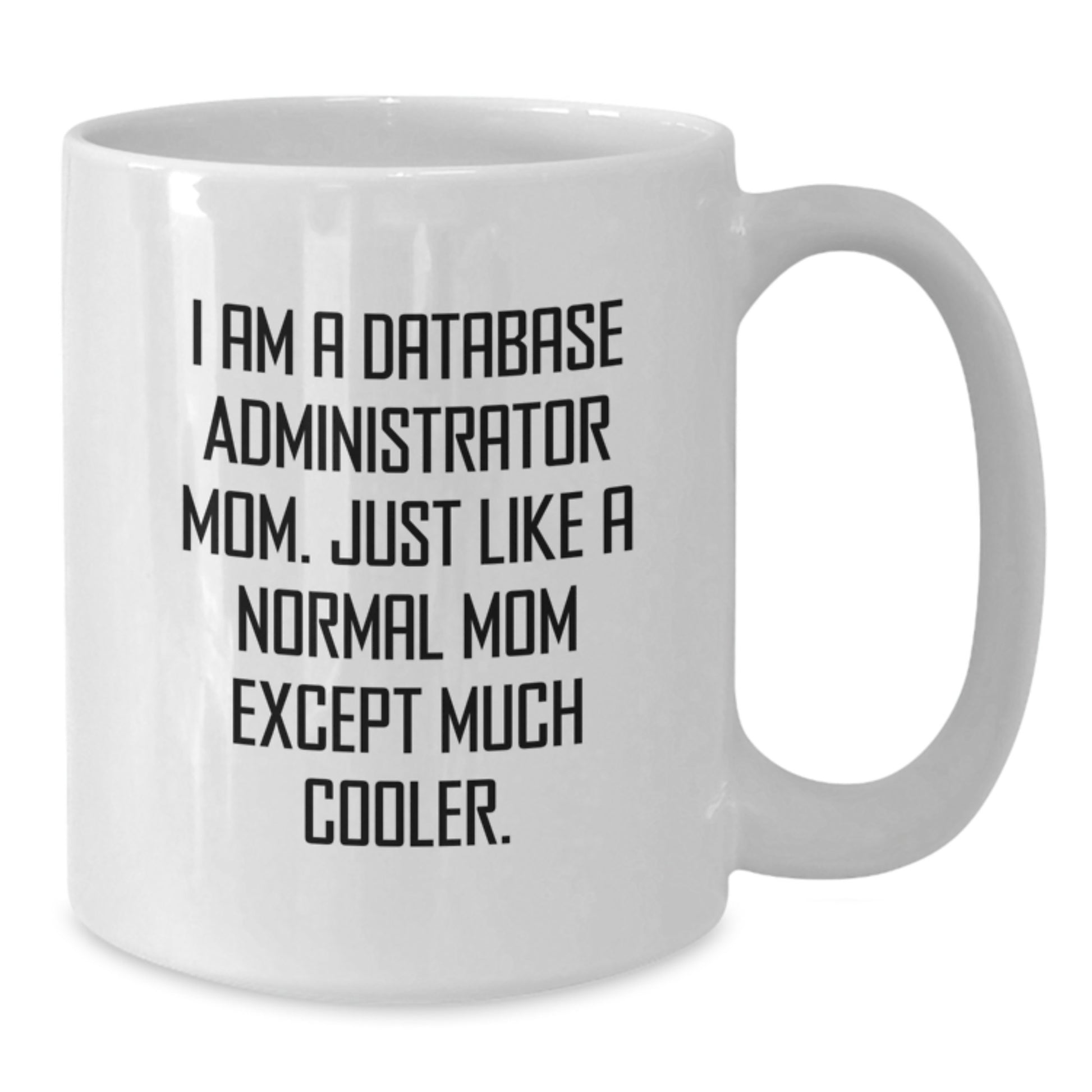 Funny Database Administrator Gifts - White Coffee Mug for Database Admin Mom, Perfect Insulting Mug for Christmas Unique Gifts from Friends to Family - Additional