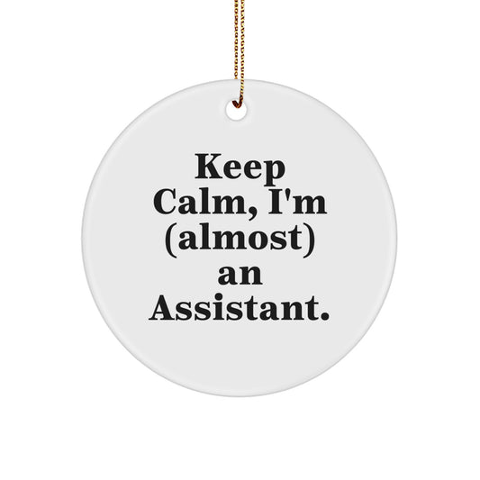 Assistant Christmas Unique Gifts from Friends, Keep Calm, I'm (almost) An Assistant. Cute Circle Ornament for Men, Women, Family