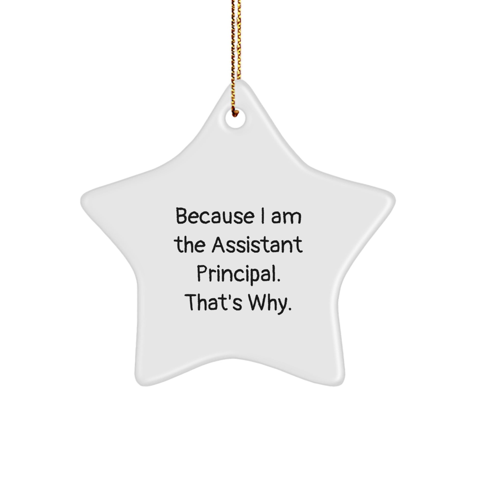 Assistant Principal Gift, Funny Quote Star Ornament, 'Because I Am The Assistant Principal. That's Why.' Christmas Unique Gifts from Friends, for Assistant Principals